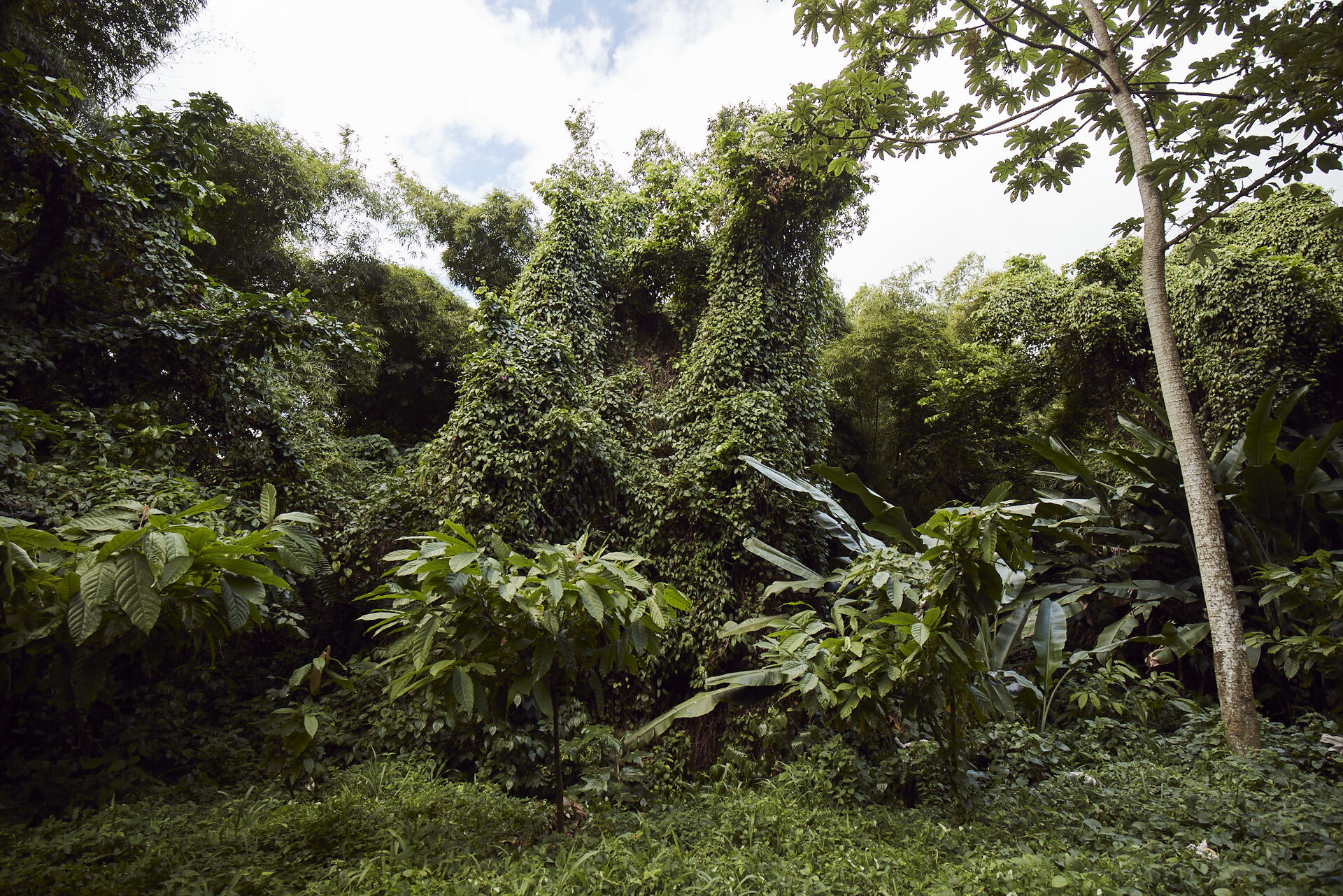 20231124_RLB MARTINIQUE_AB_87A3136-lr.jpg