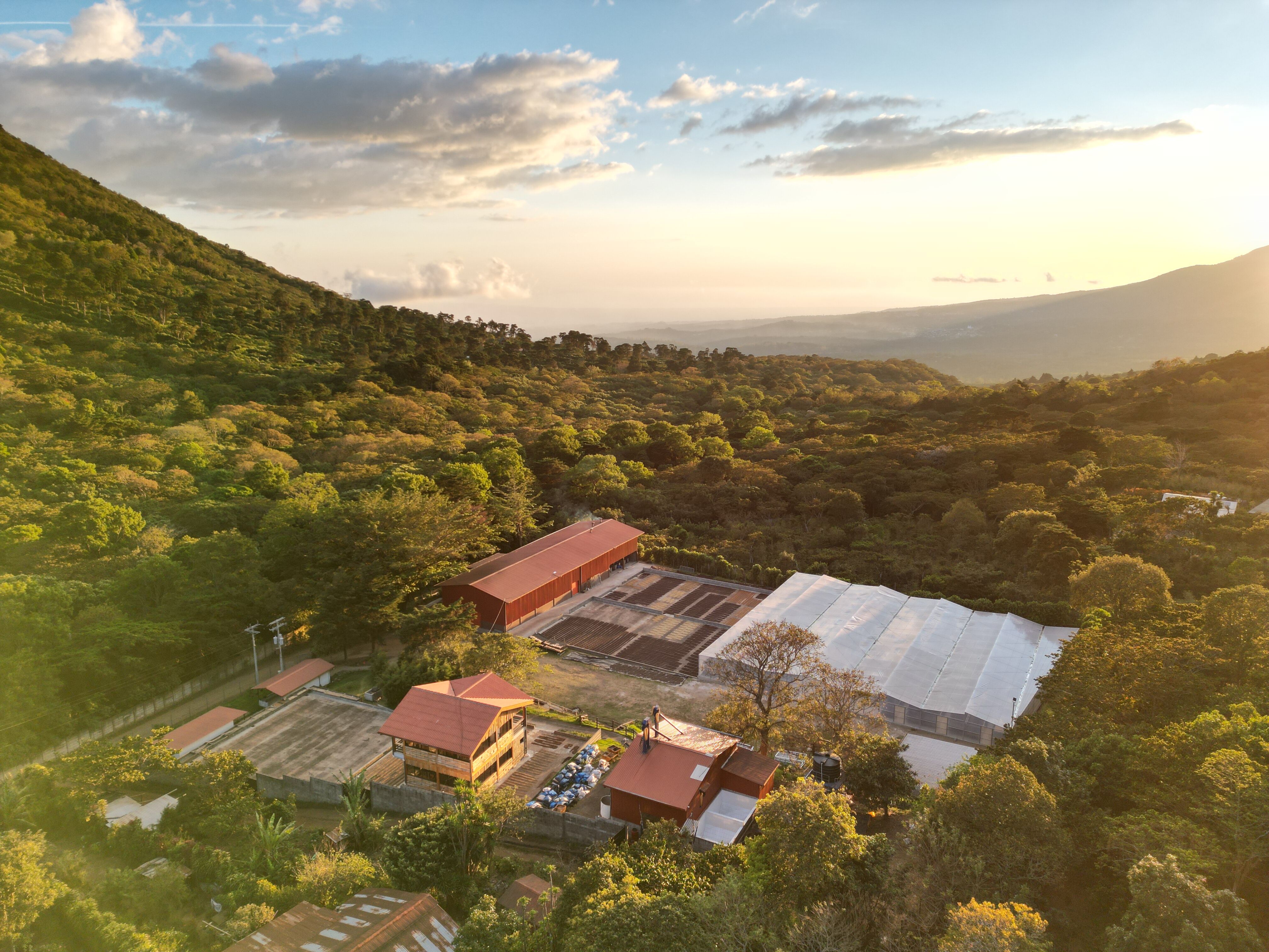DJI_0682.JPG