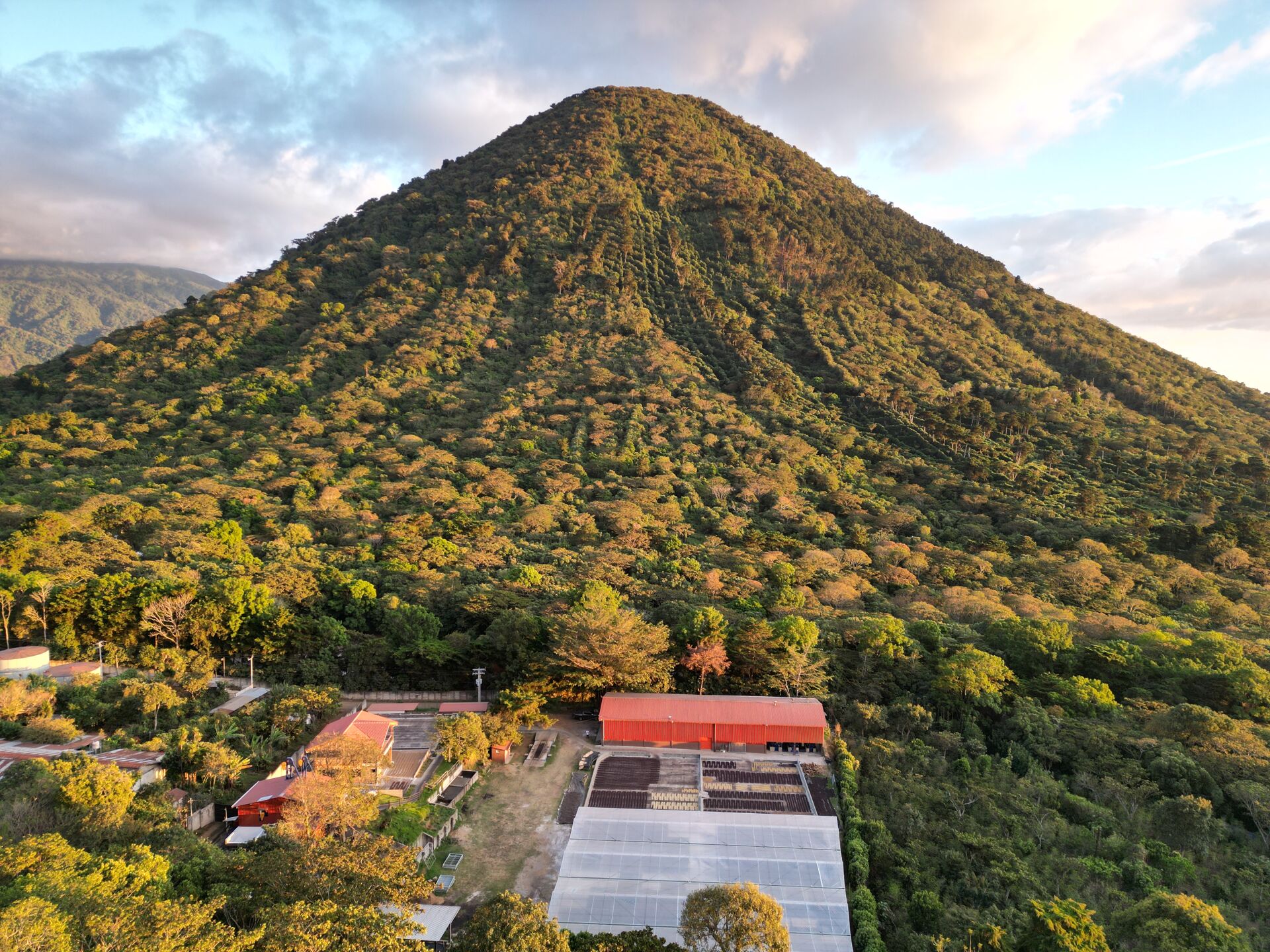 Los Naranjos