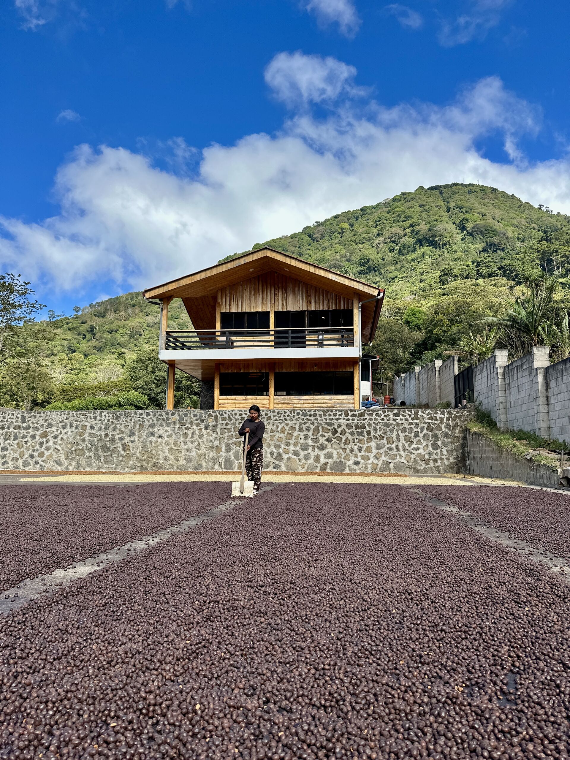 Los Naranjos