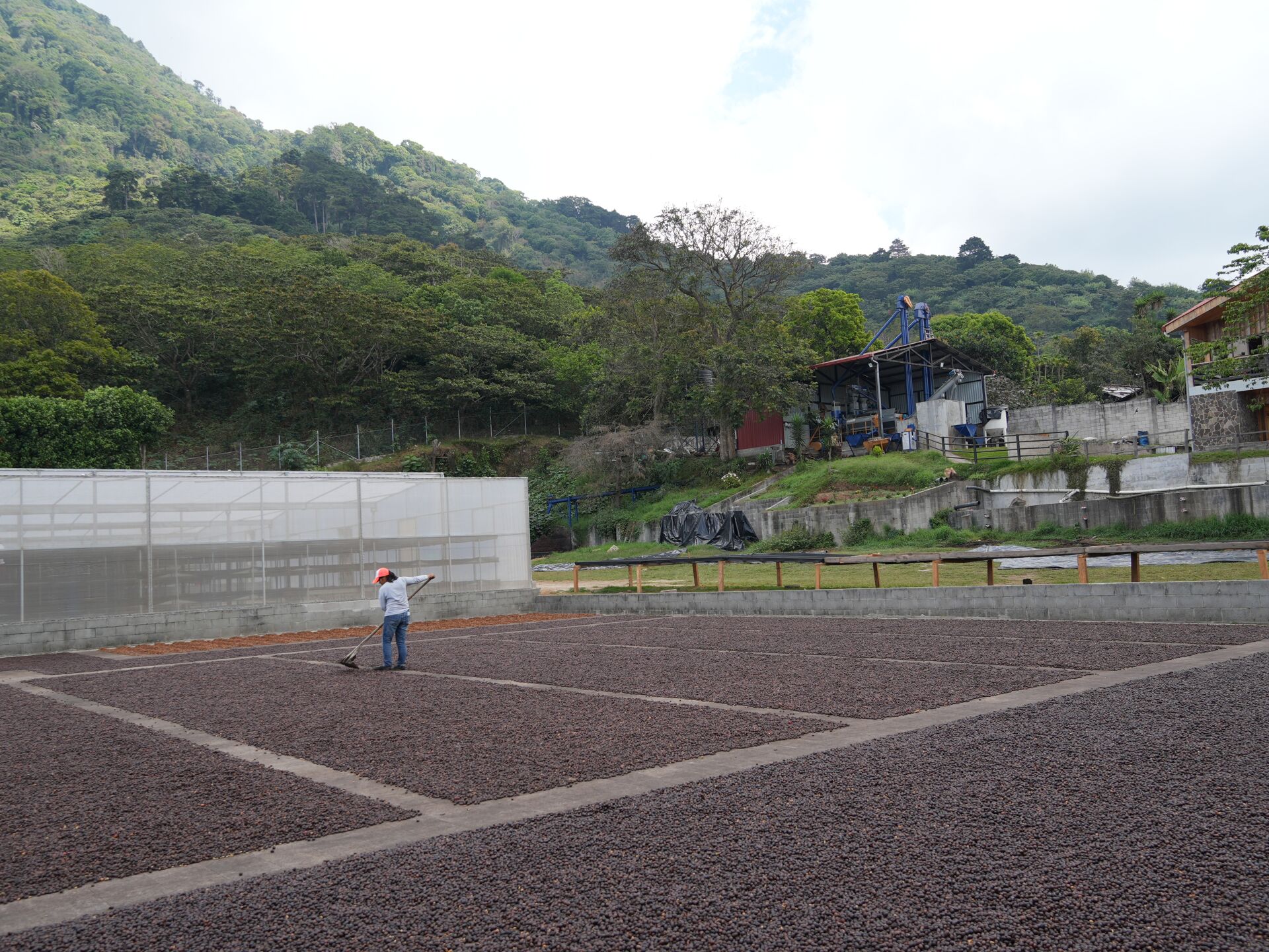 Los Naranjos