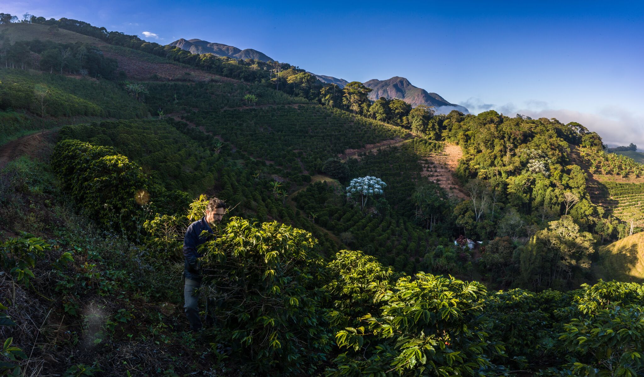 fazenda-ninho-da-guia_52660383142_o.jpg