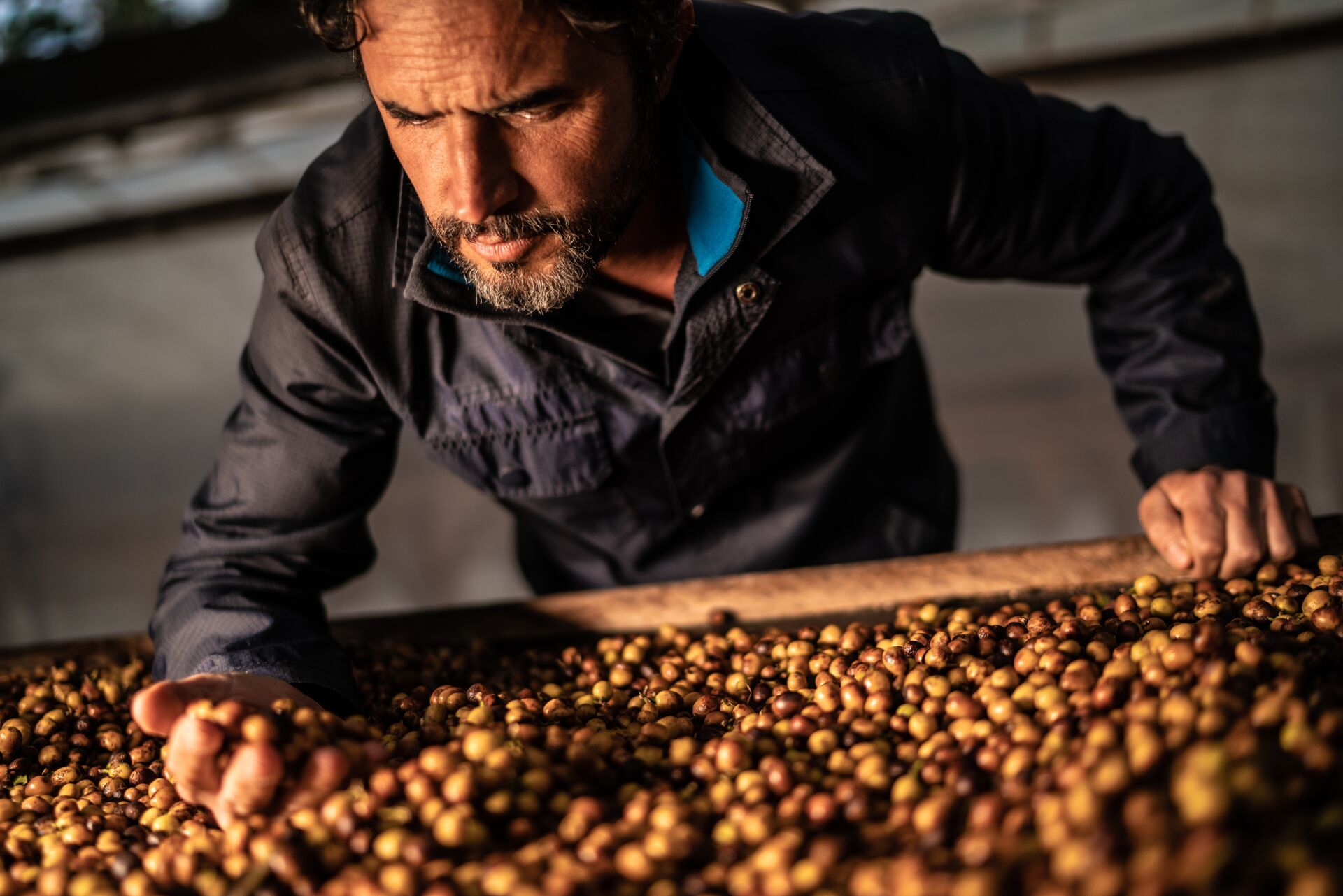 fazenda-ninho-da-guia_52661166414_o.jpg