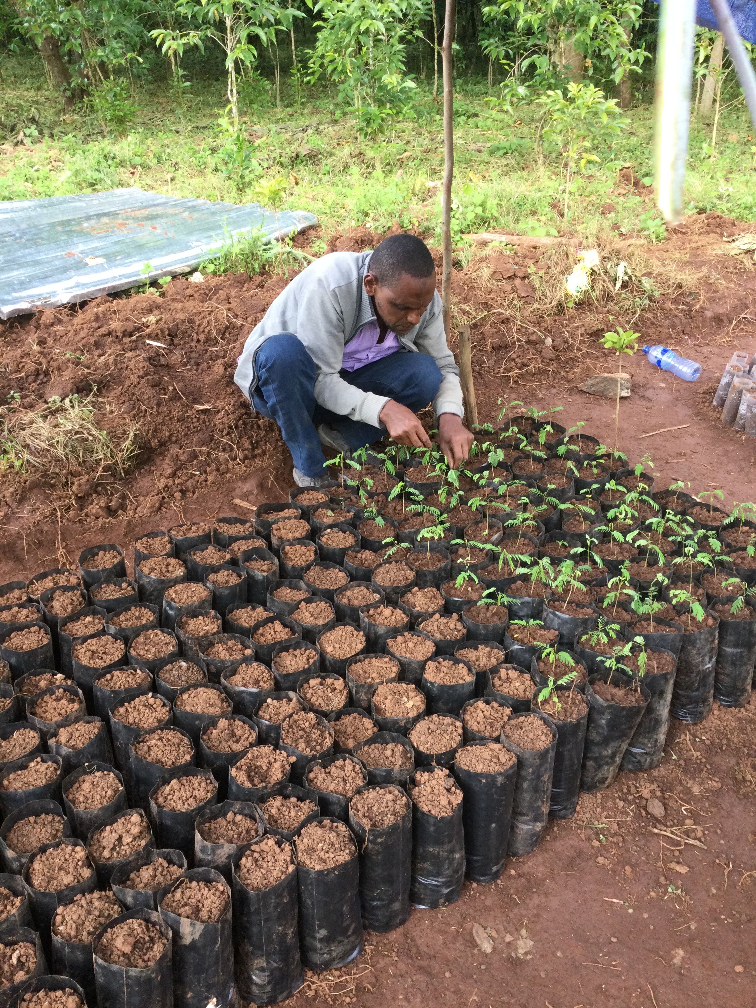 Nazimu Abamecha (11).jpg