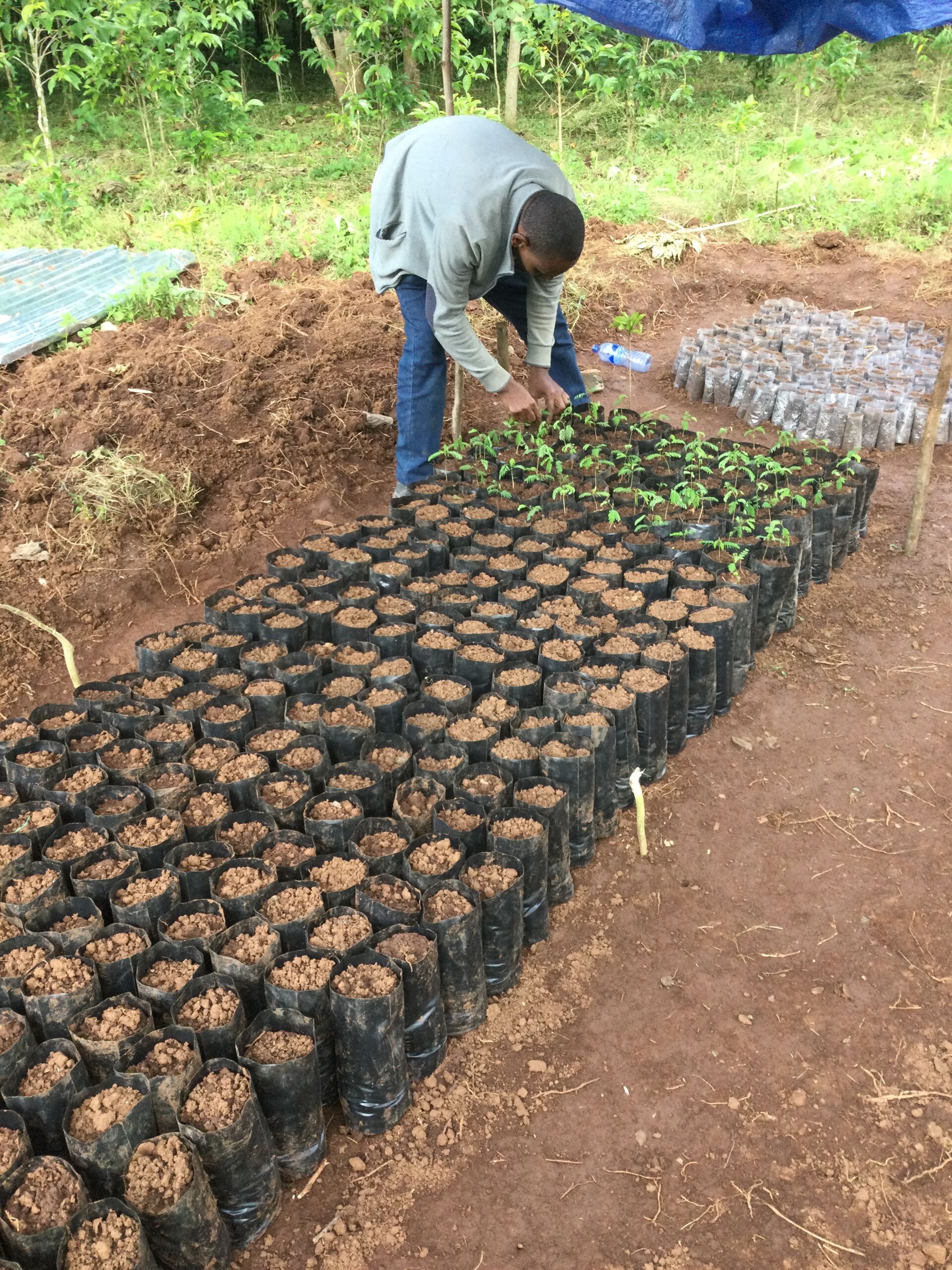 Nazimu Abamecha (14).jpg