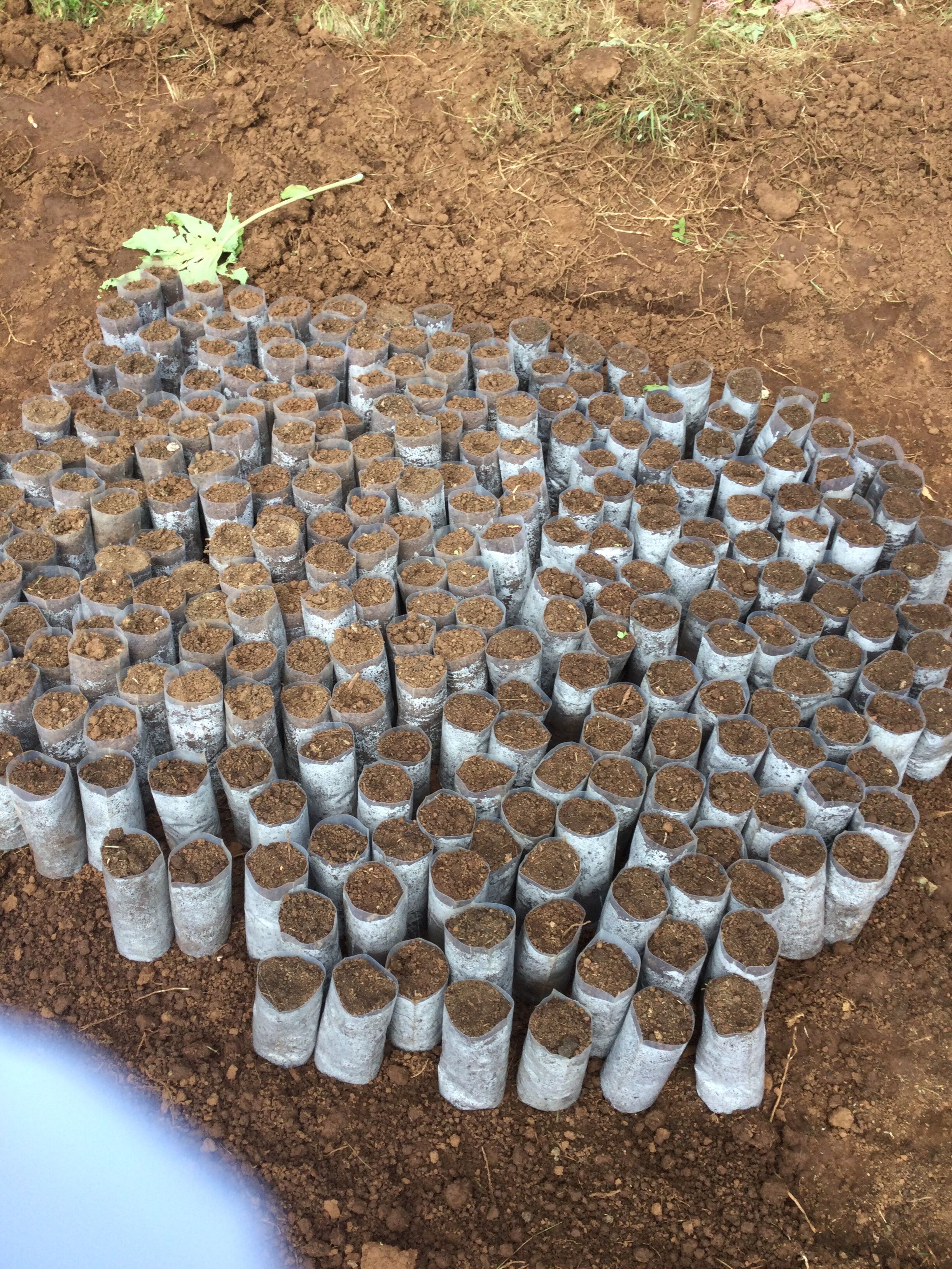 Nazimu Abamecha (15).jpg