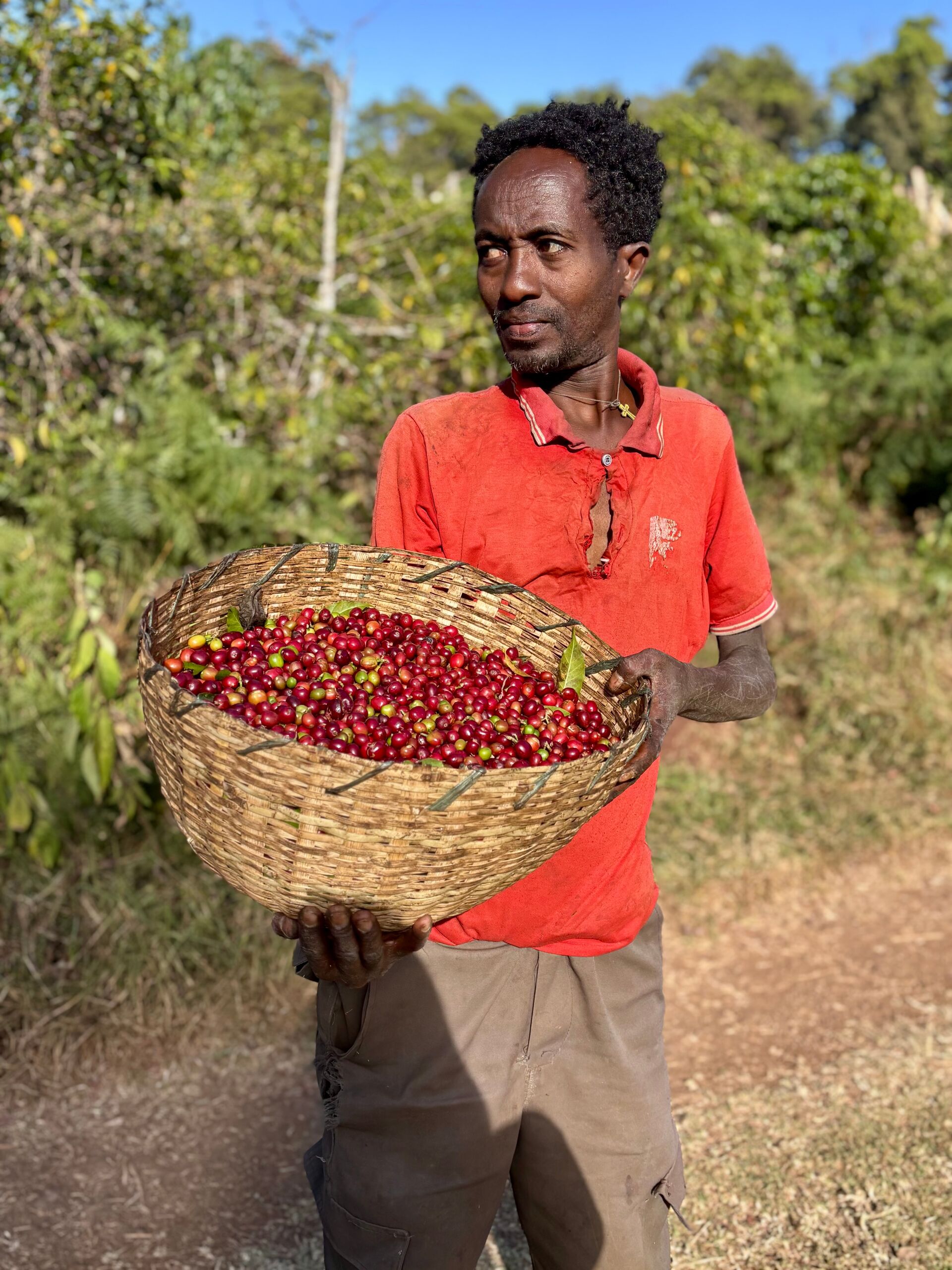 Alaka