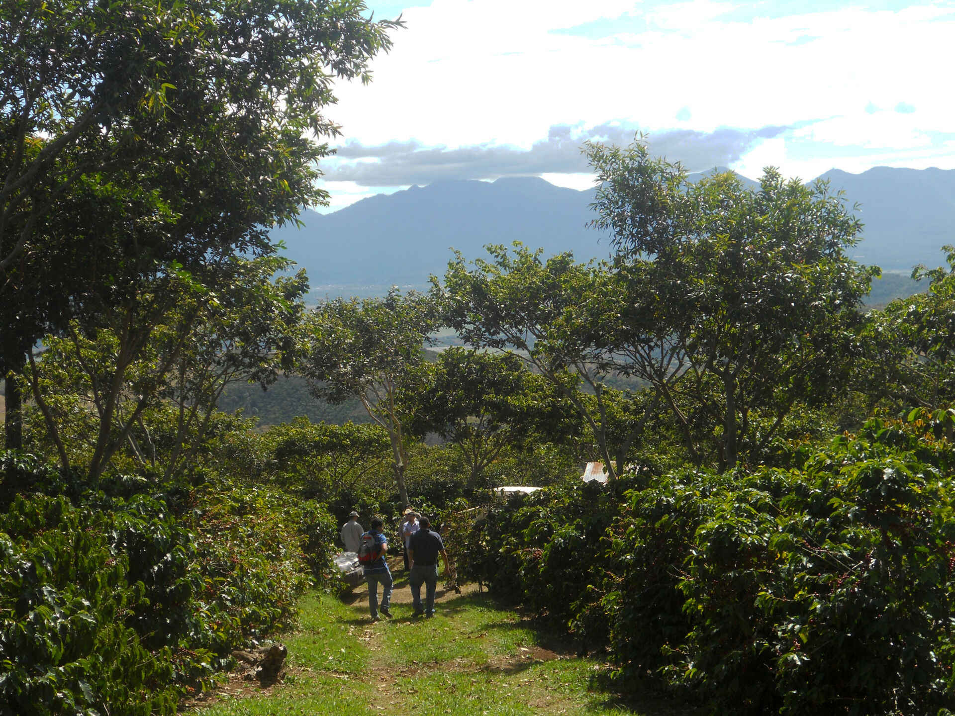 finca-altamira_51124981562_o.jpg