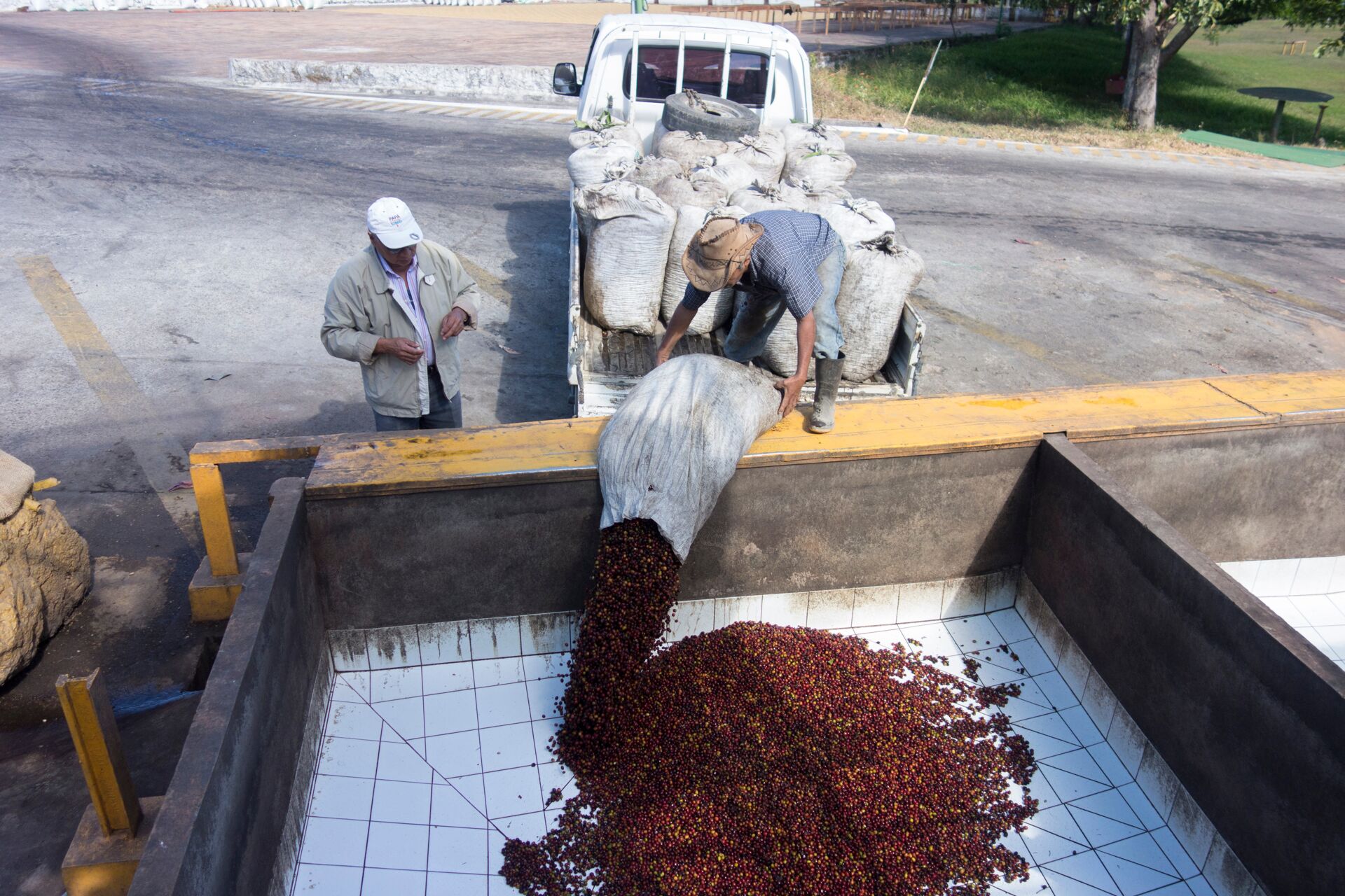 finca-altamira_51124983172_o.jpg