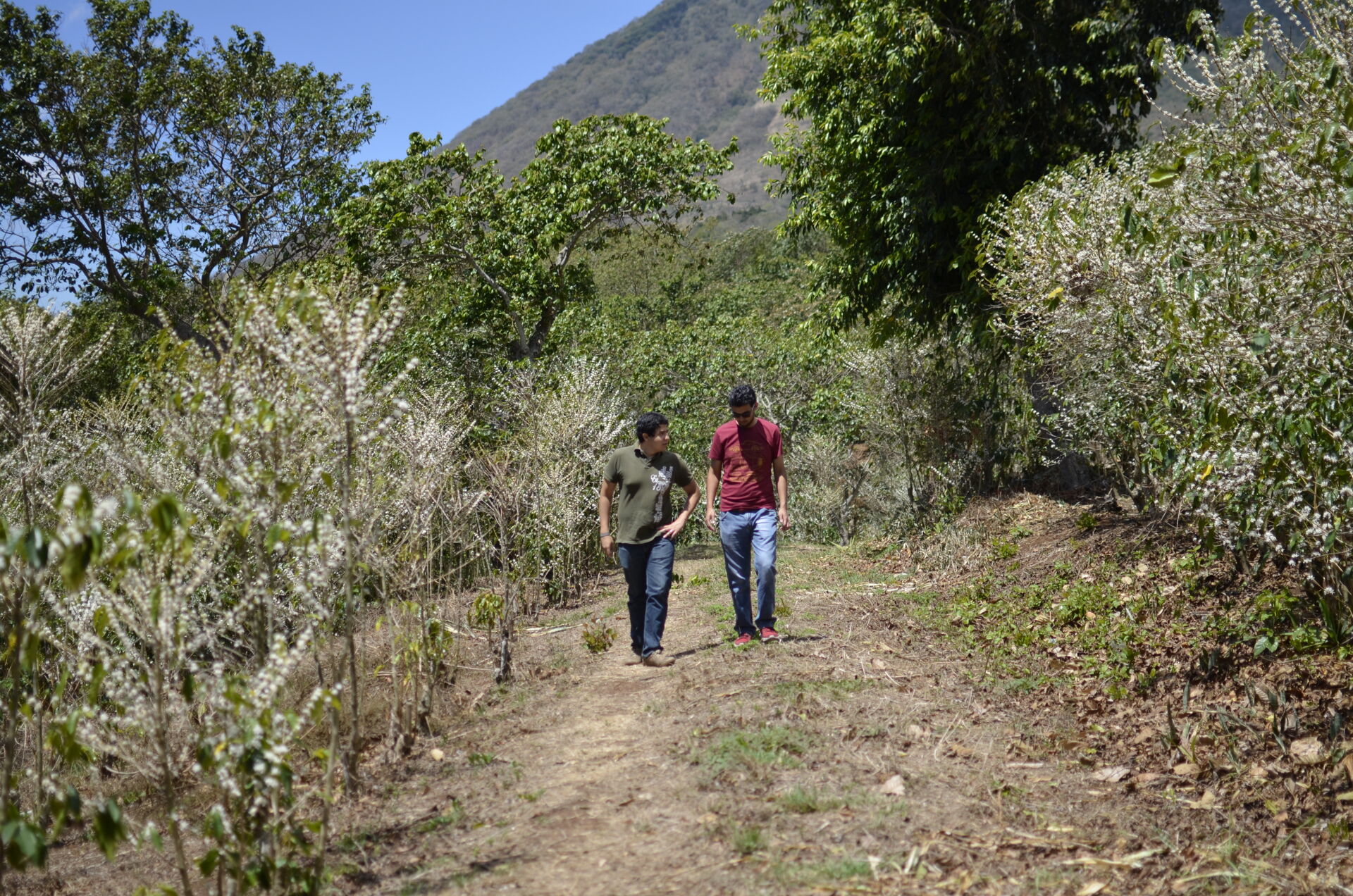 finca-altamira_51124986747_o.jpg