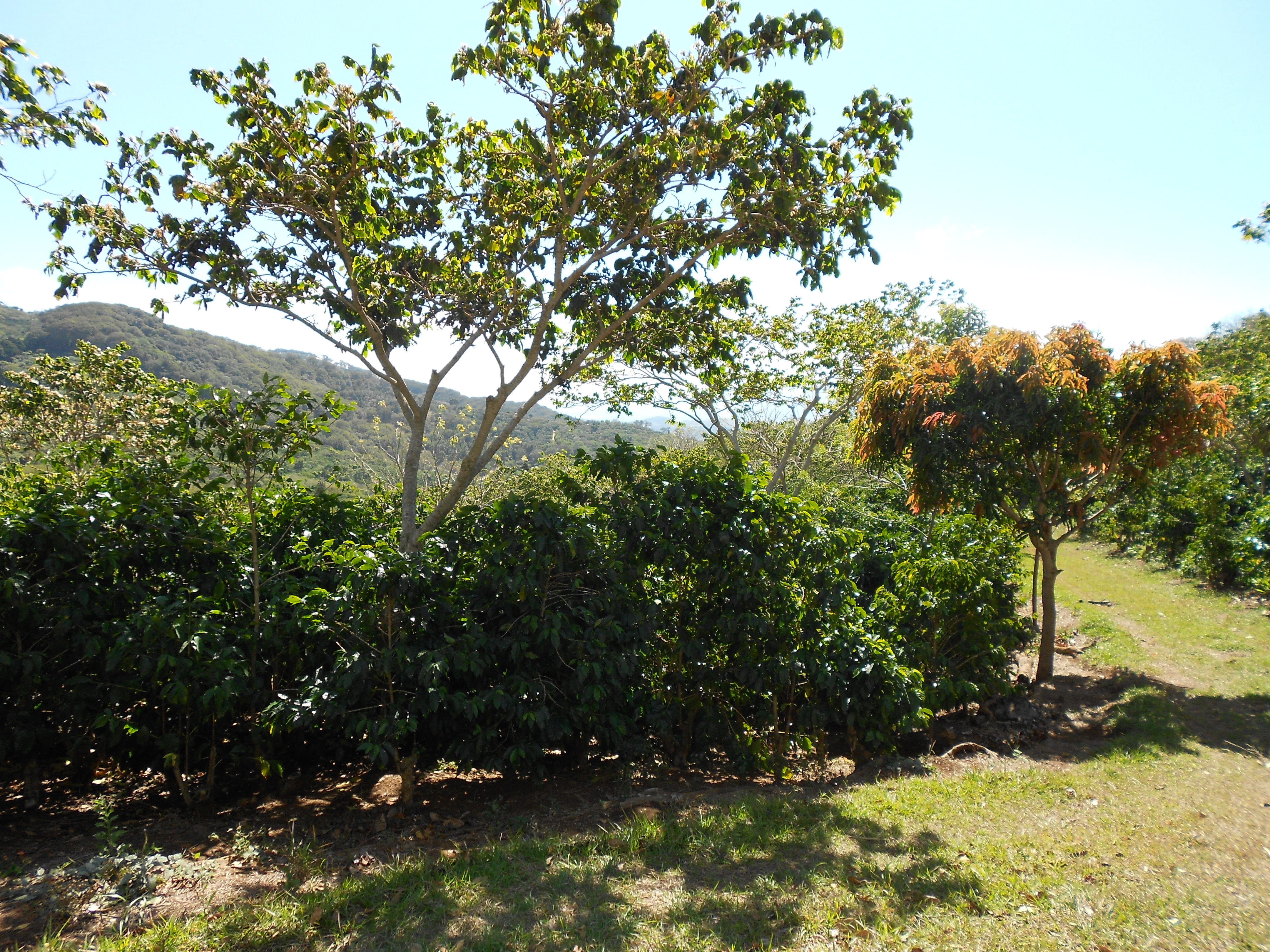finca-altamira_51125290614_o.jpg