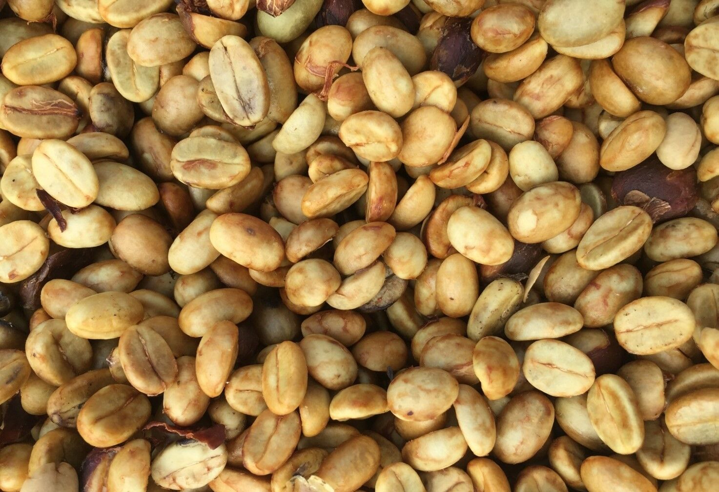 honey coffee.jpg