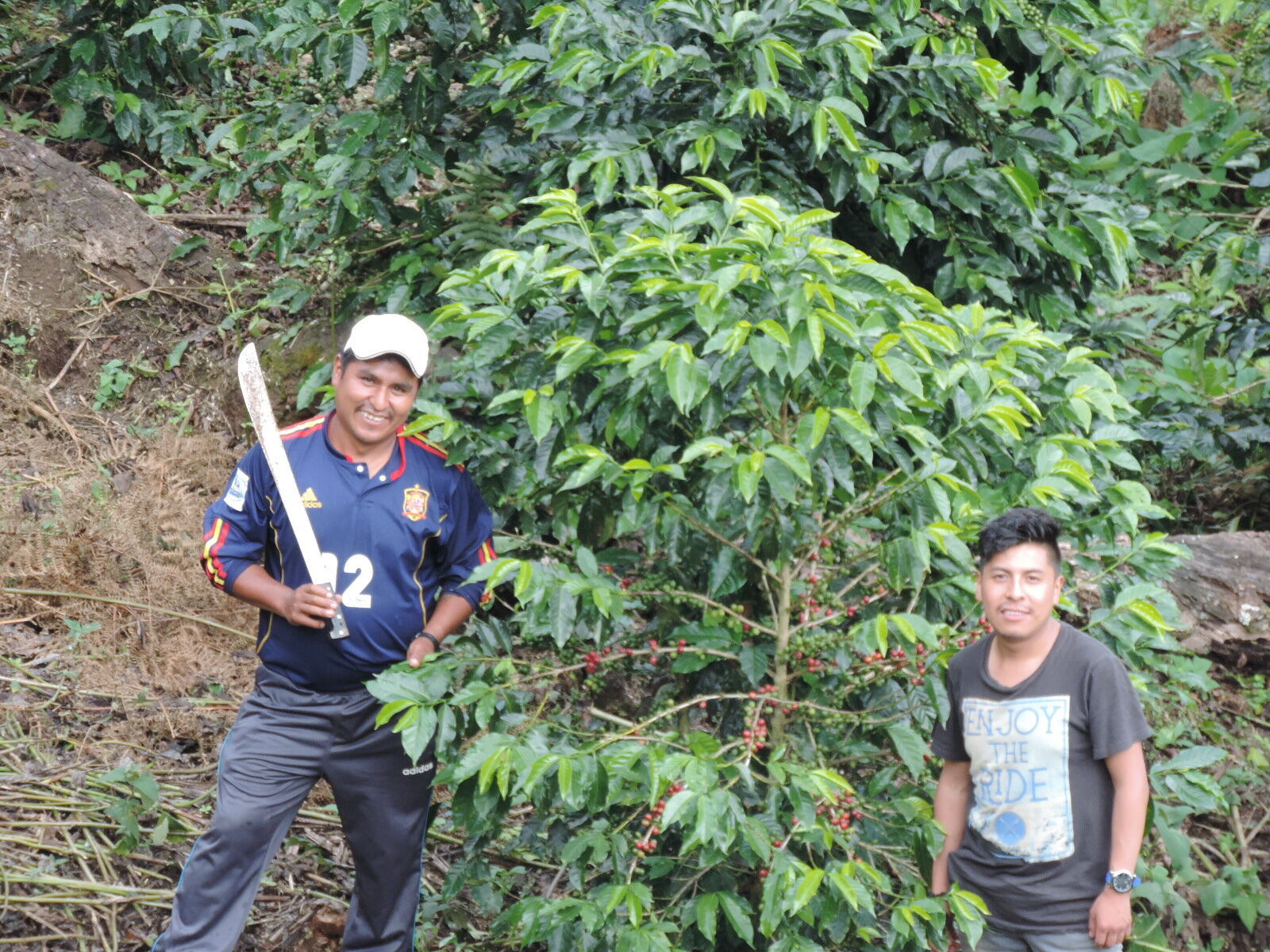 gober-mamani_52044783010_o.jpg