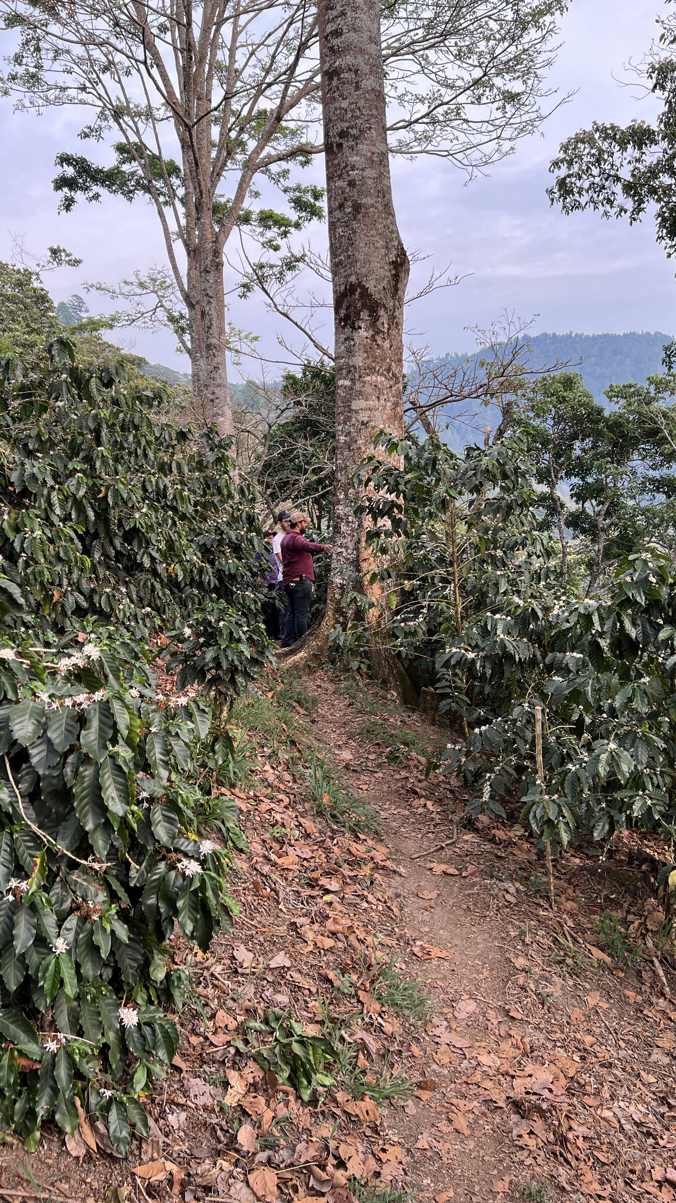 Buenos Aires (10).jpg