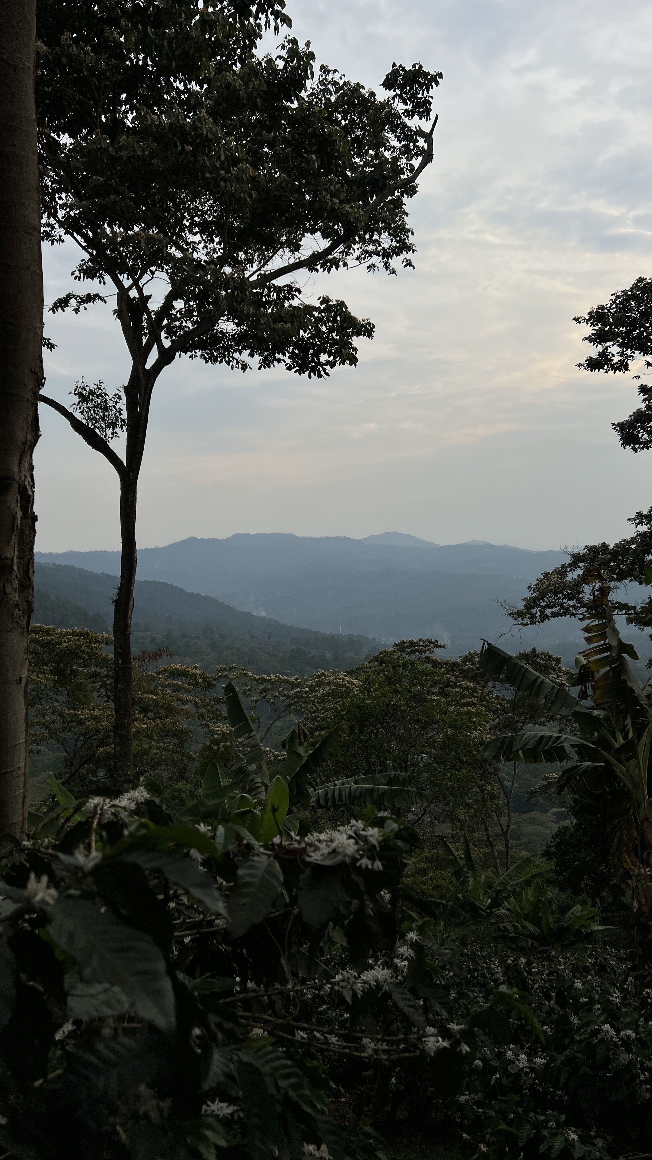 Buenos Aires (11).jpg