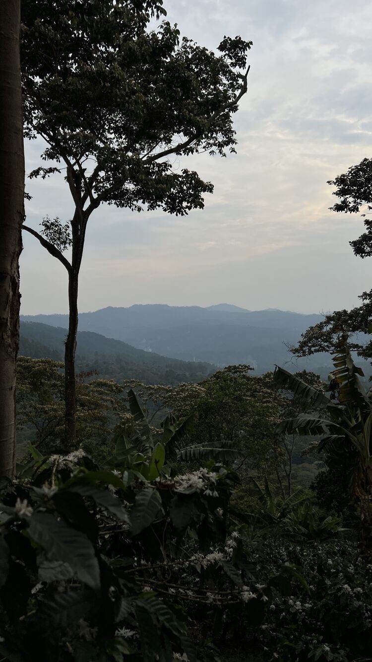 Buenos Aires (11).jpg