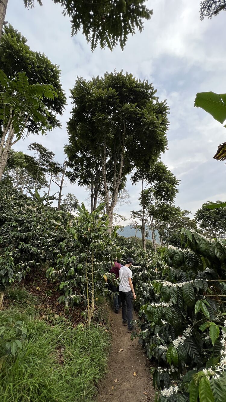 Buenos Aires (14).jpg