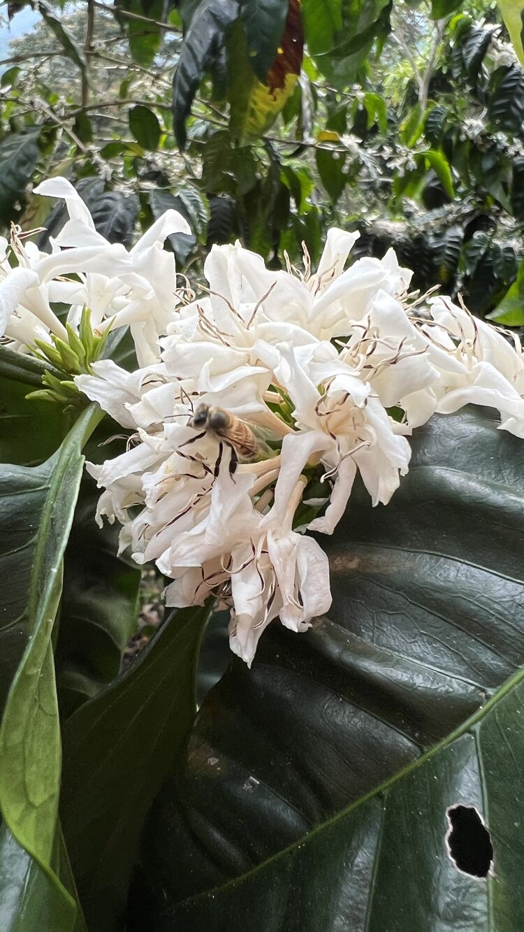 Buenos Aires (15).jpg