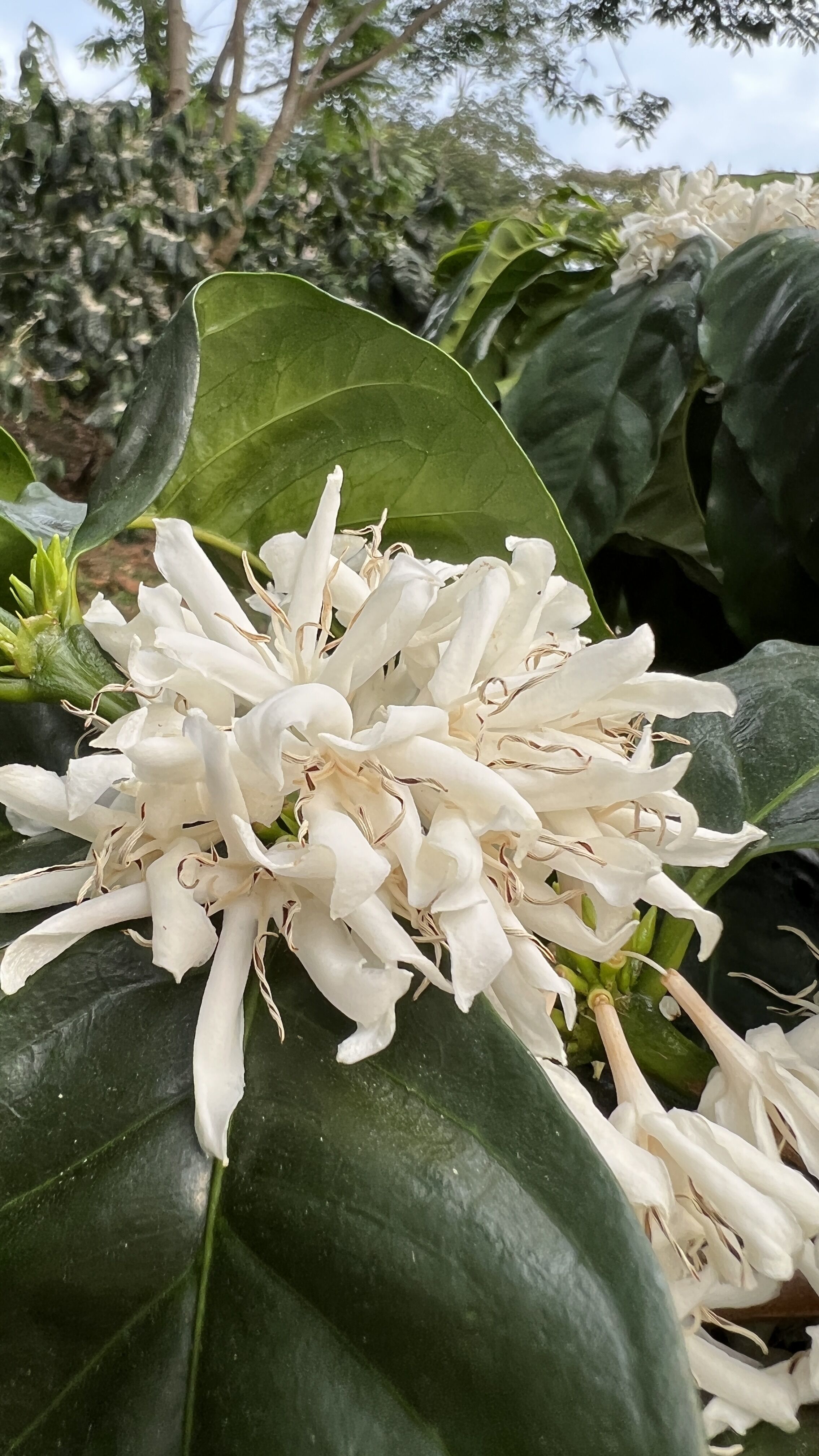 Buenos Aires (16).jpg