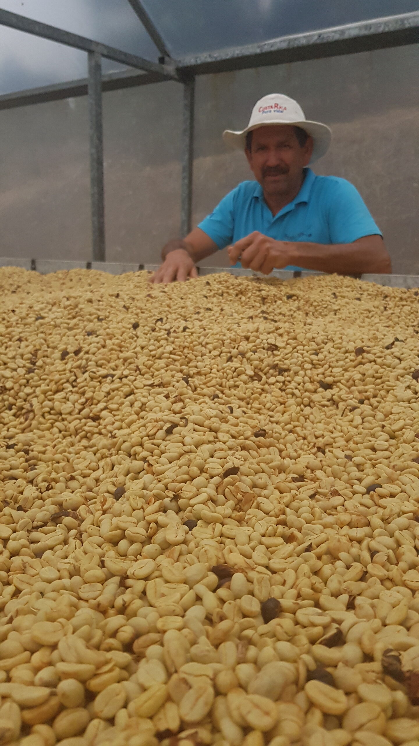 Cafetalera Herbazu