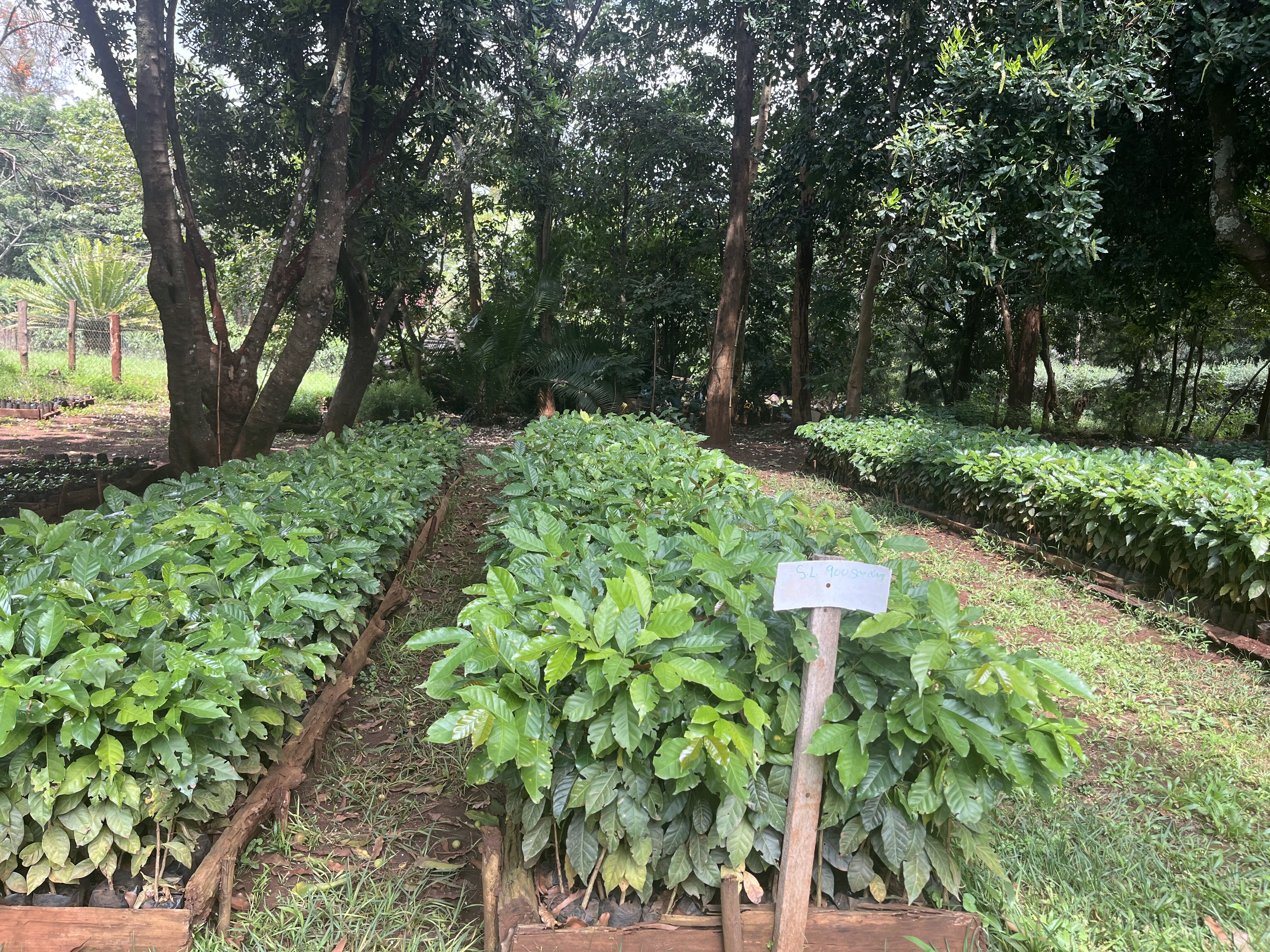 Chania_2025 (11).jpeg