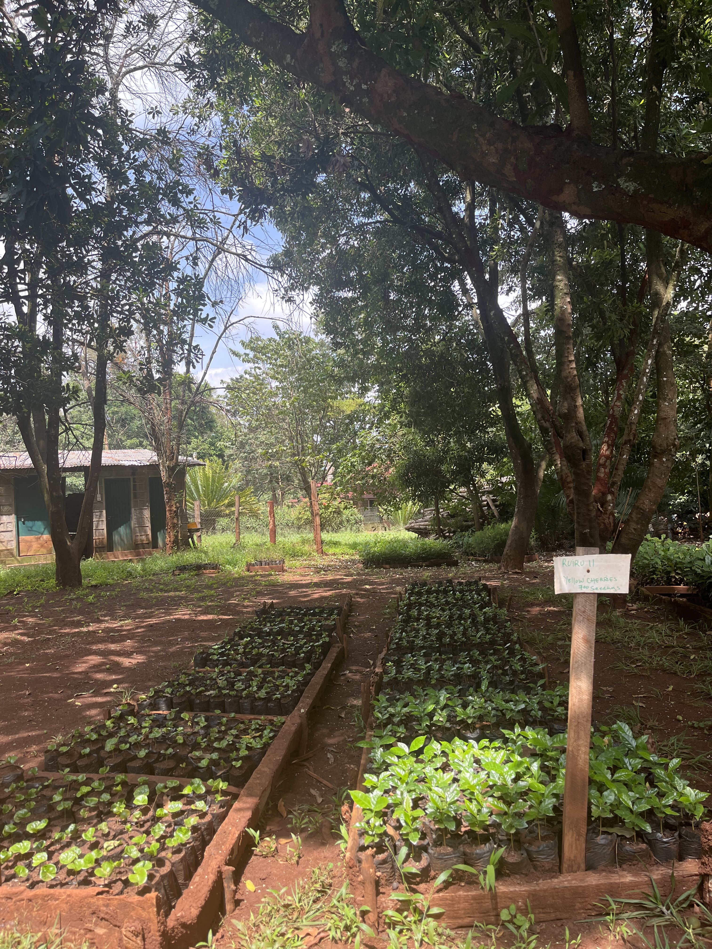 Chania_2025 (13).jpeg