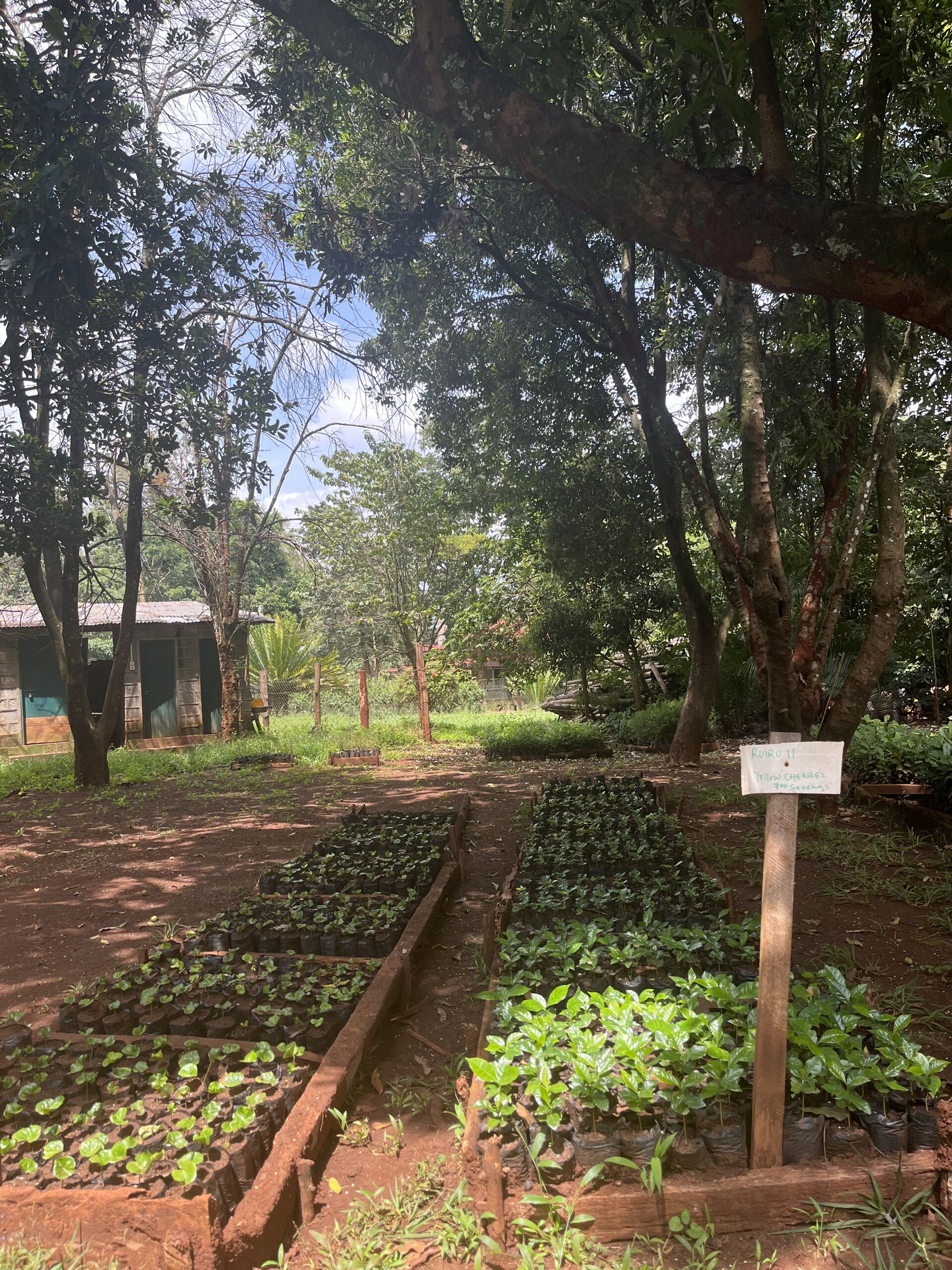 Chania_2025 (13).jpeg