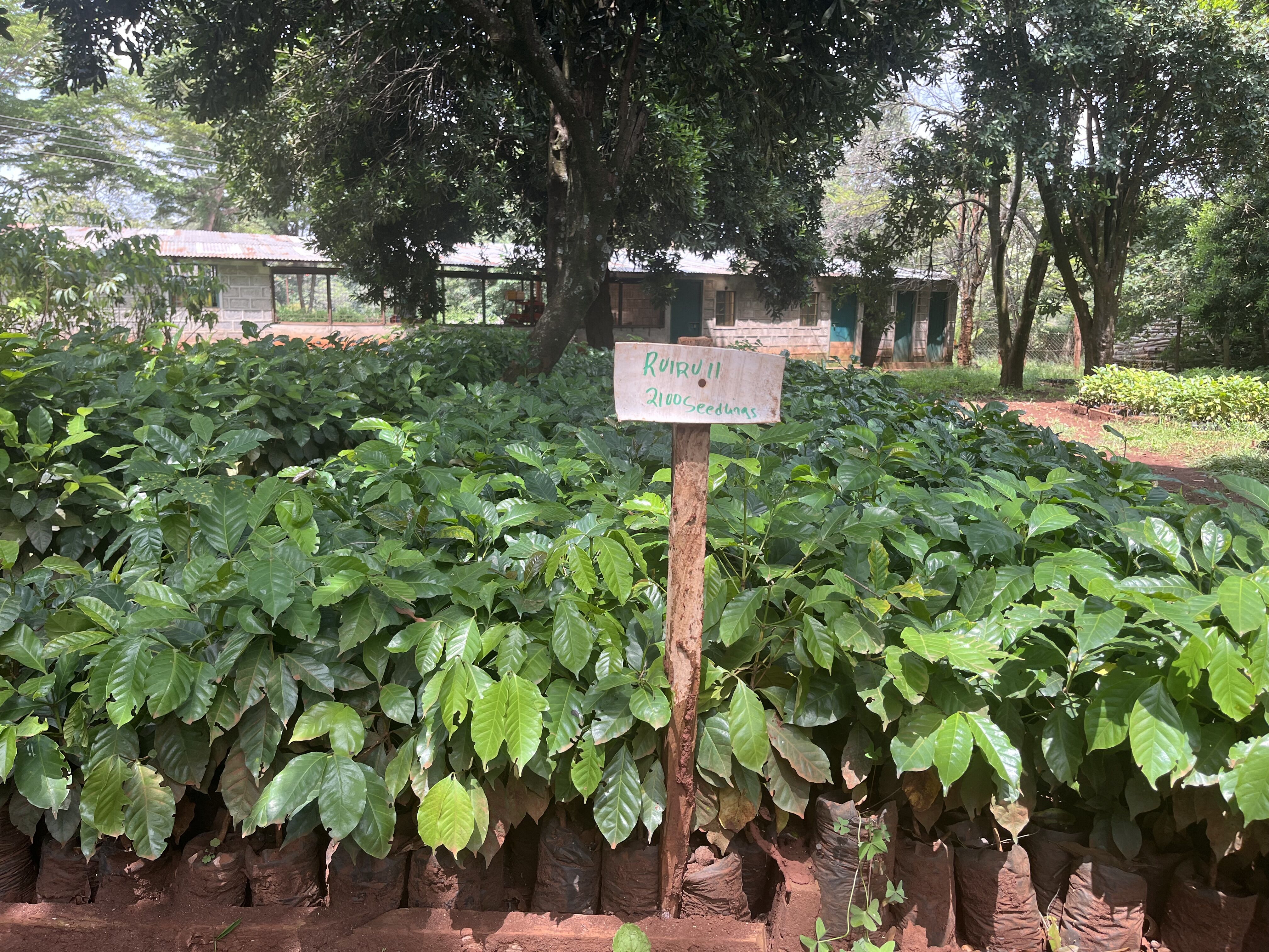 Chania_2025 (16).jpeg