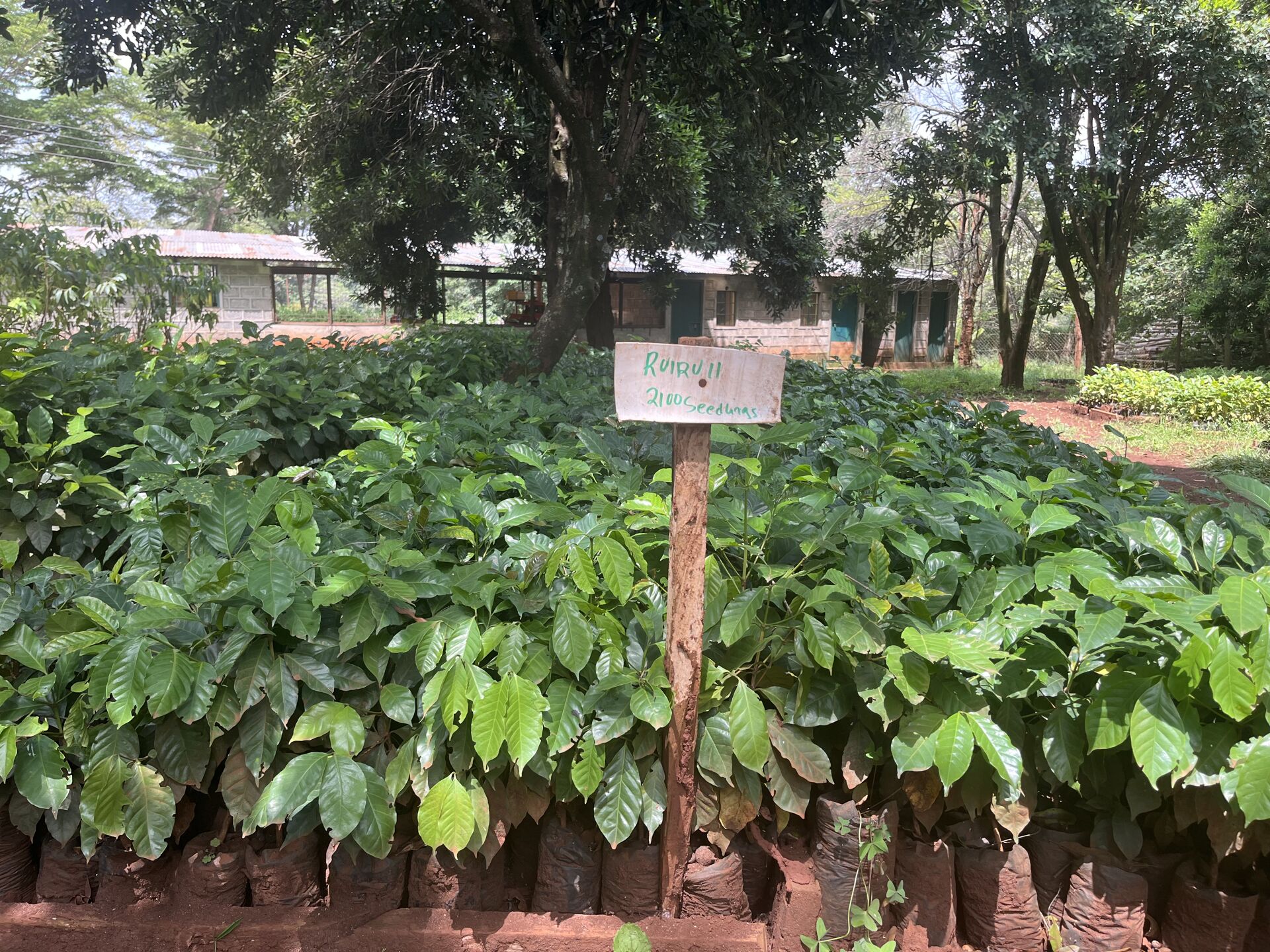 Chania_2025 (16).jpeg