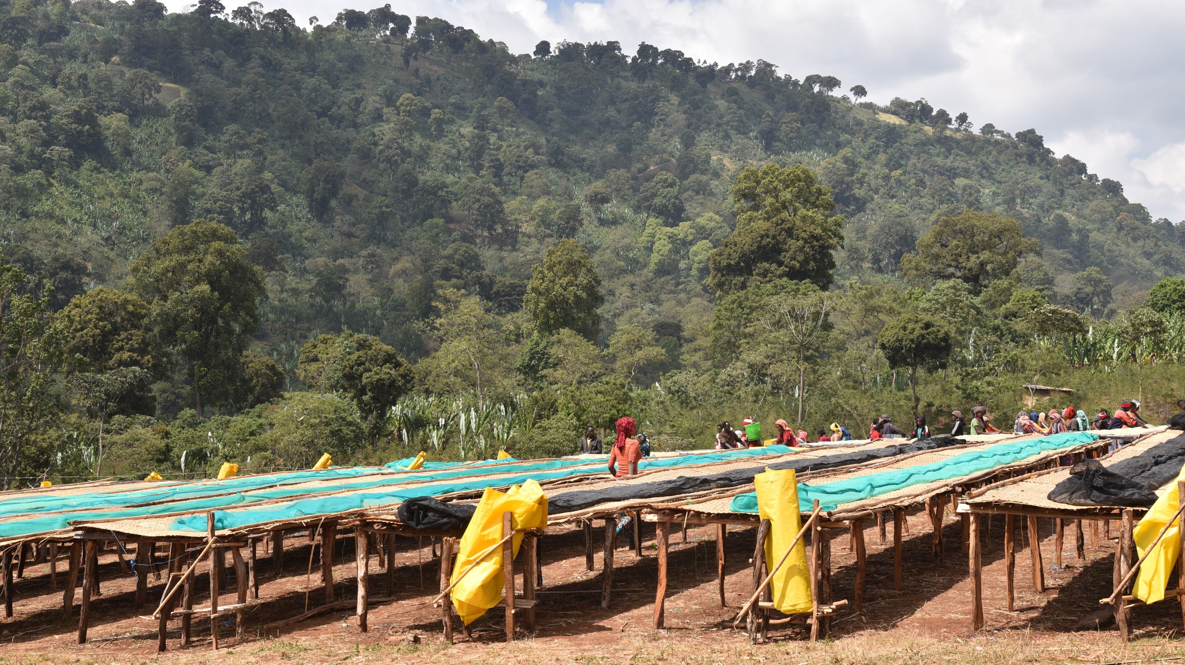 Chelbessa_SNAP (10).jpg