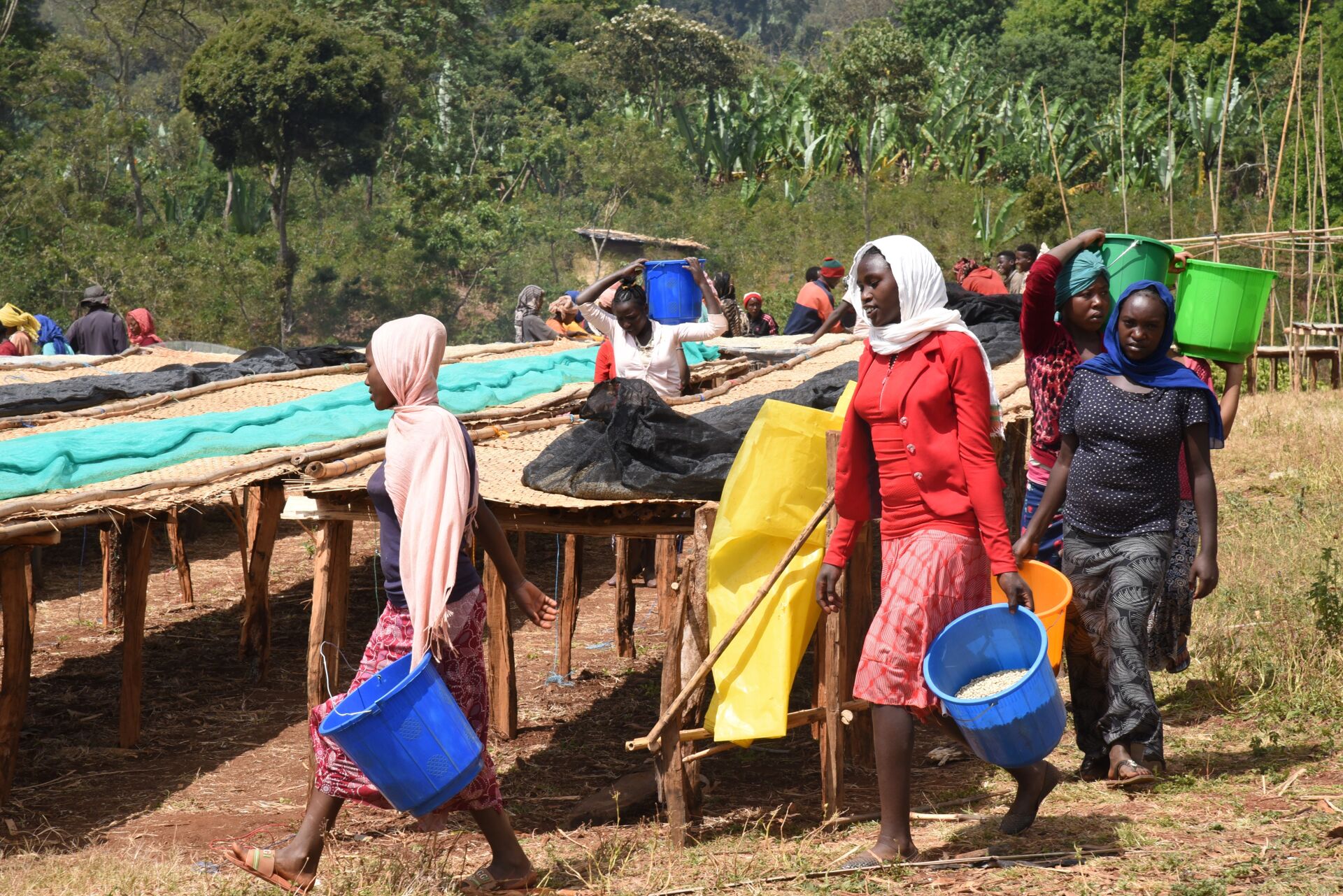 Chelbessa_SNAP (11).jpg