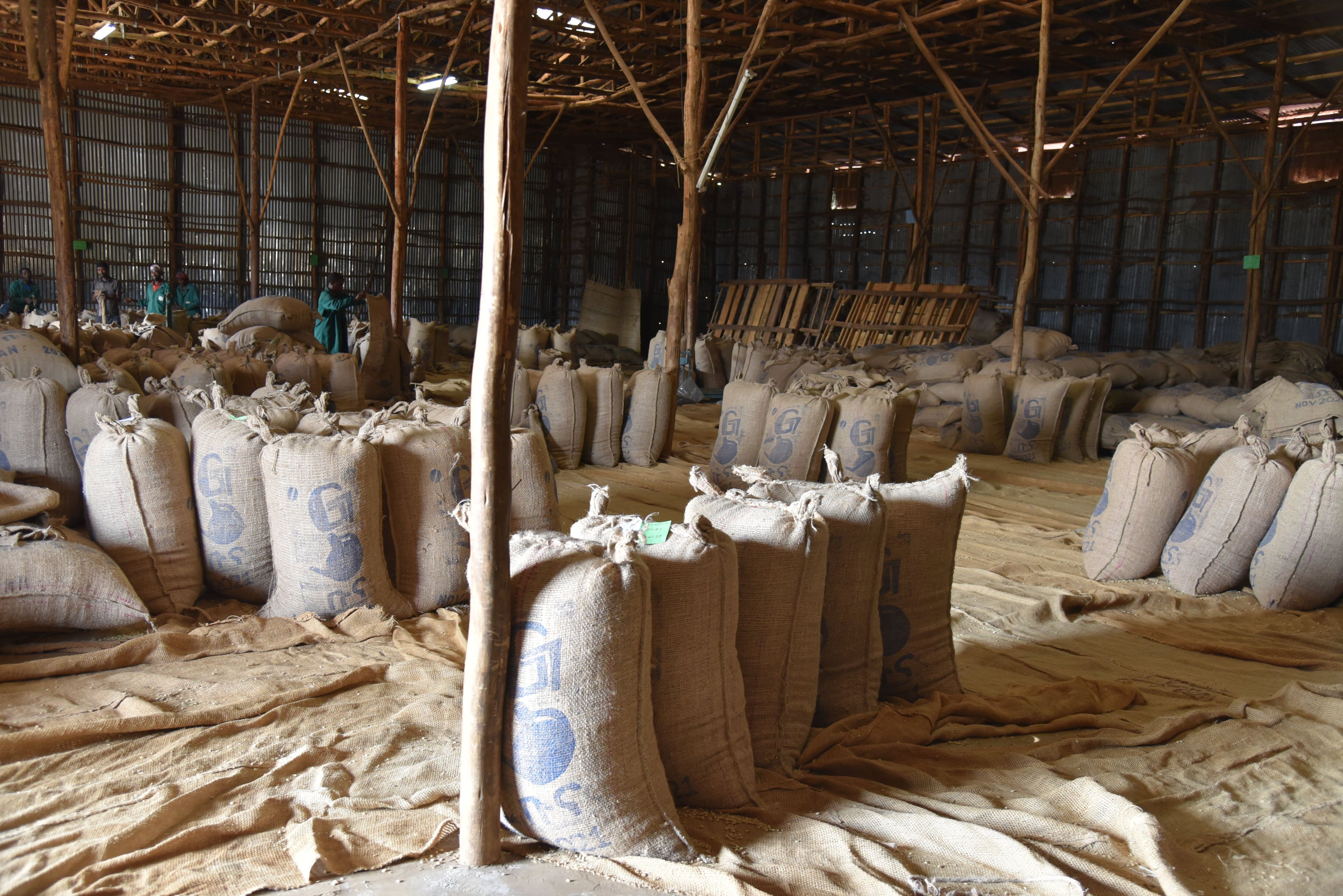 METAD- Gedeb - Dec 2021 - Inside warehouse.jpg