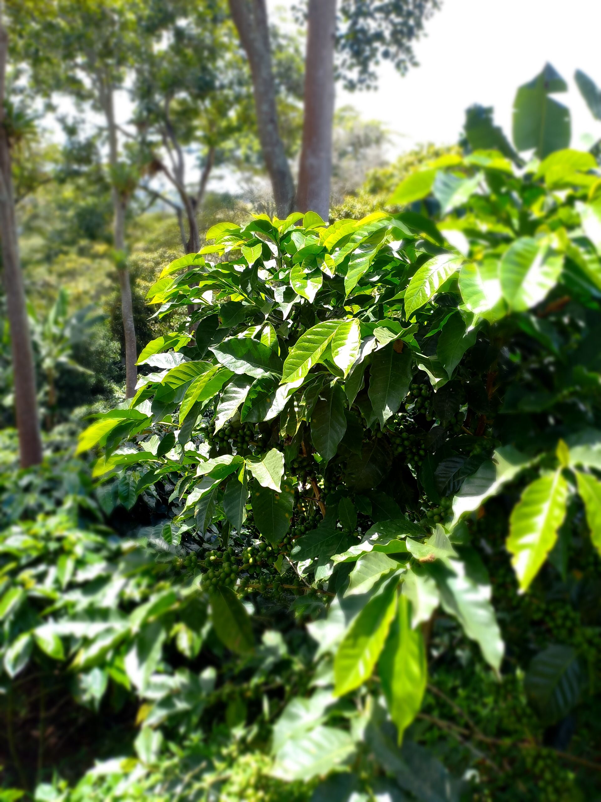 20230718_113825.jpg