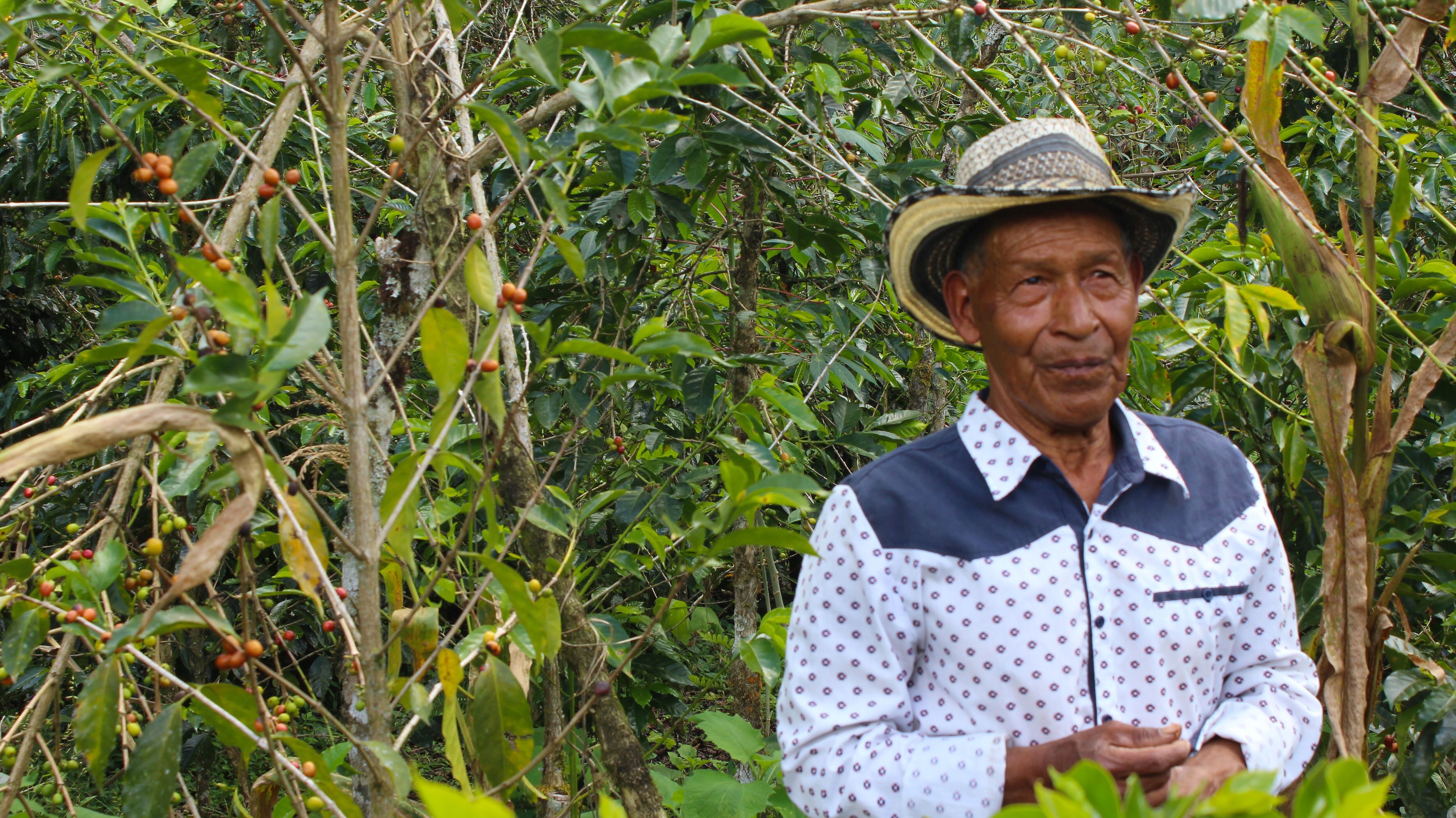 pablo-yugue---finca-la-planada_52014917416_o.jpg