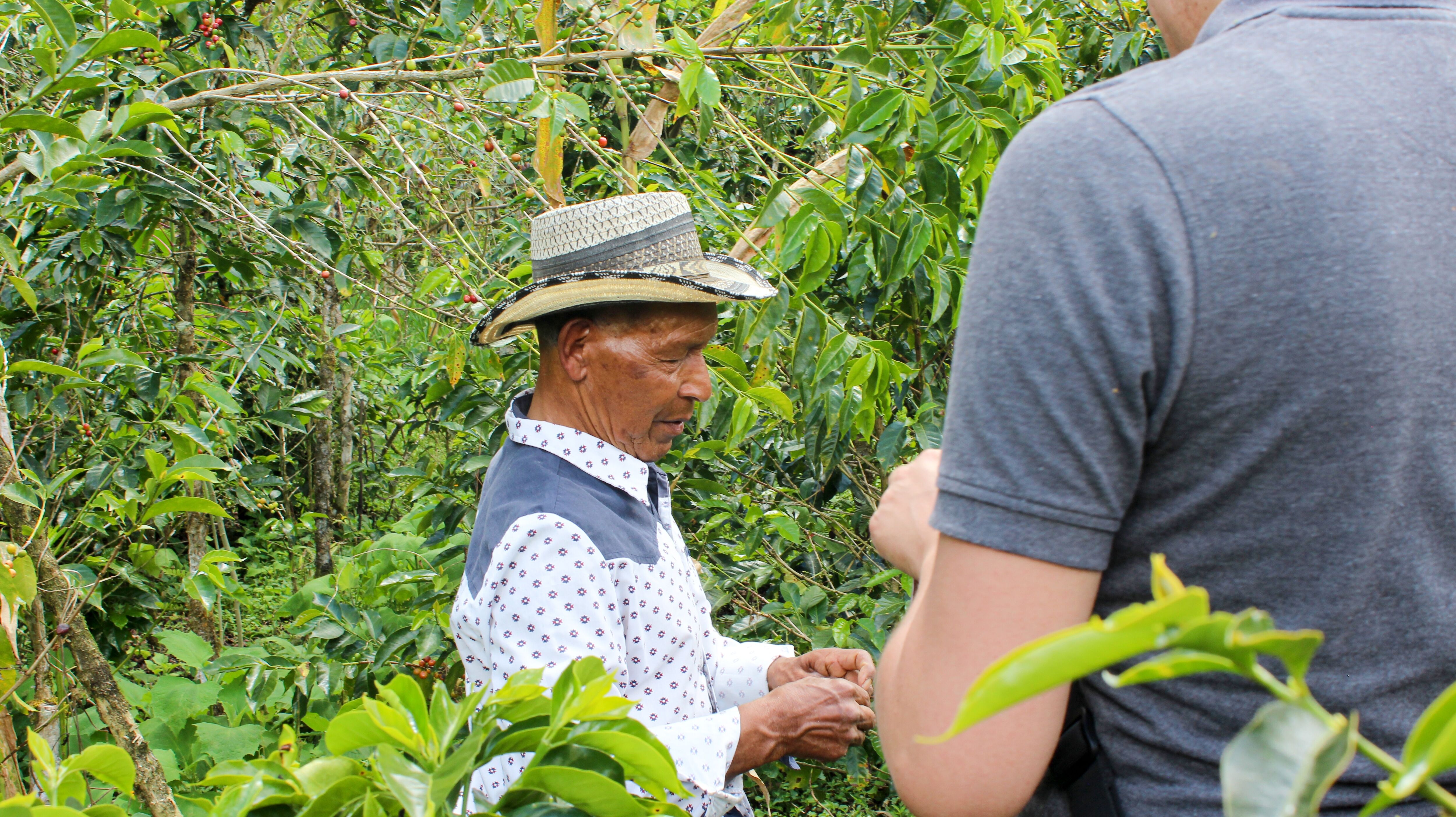 pablo-yugue---finca-la-planada_52014918356_o.jpg