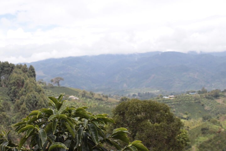 el-meson_52579163092_o.jpg