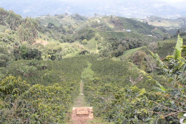 el-meson_52579626021_o.jpg