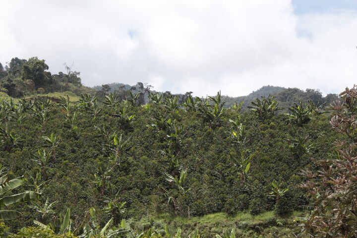 el-meson_52580150183_o.jpg