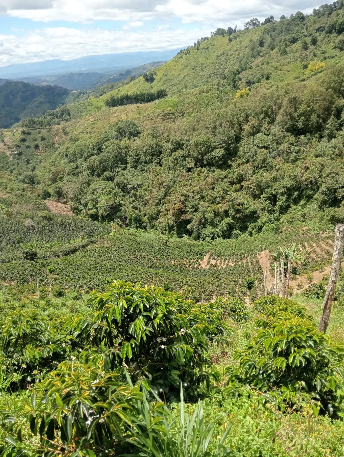 El Porvenir