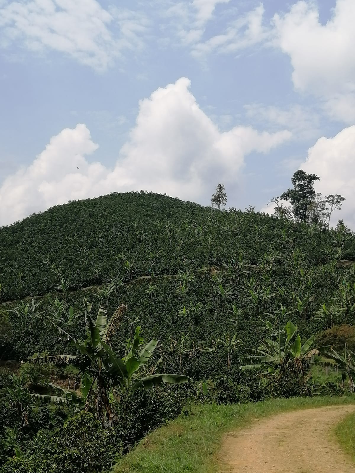 imagen-20240904-211610-8c84d4b6 (1).jpeg