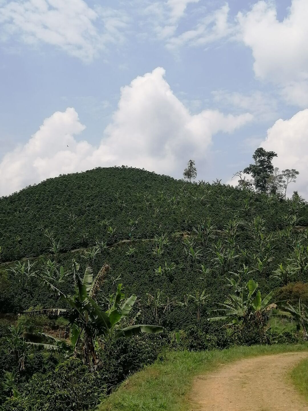 imagen-20240904-211610-8c84d4b6 (1).jpeg