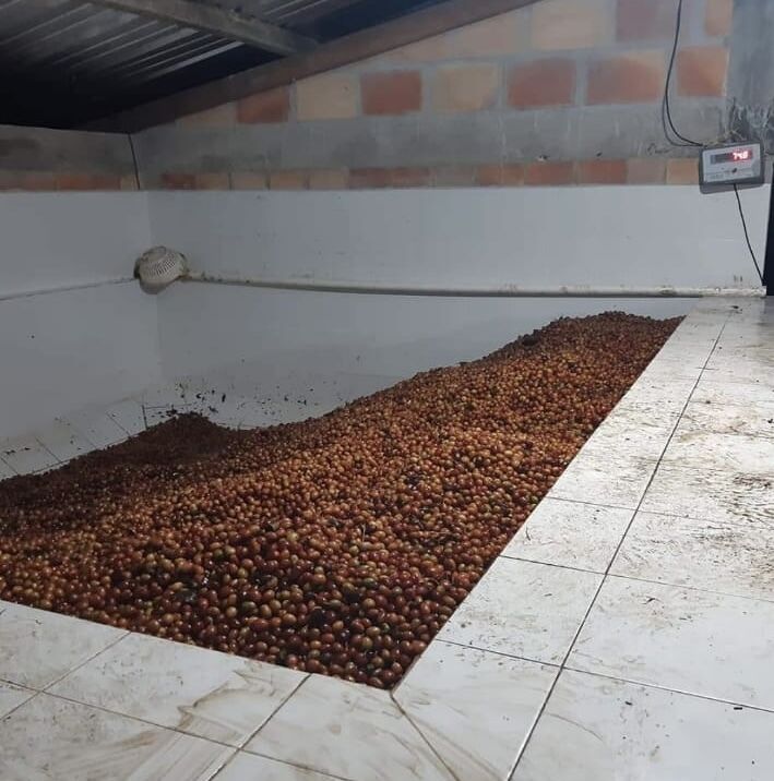 imagen-20240904-211611-3a309254 (1).jpeg