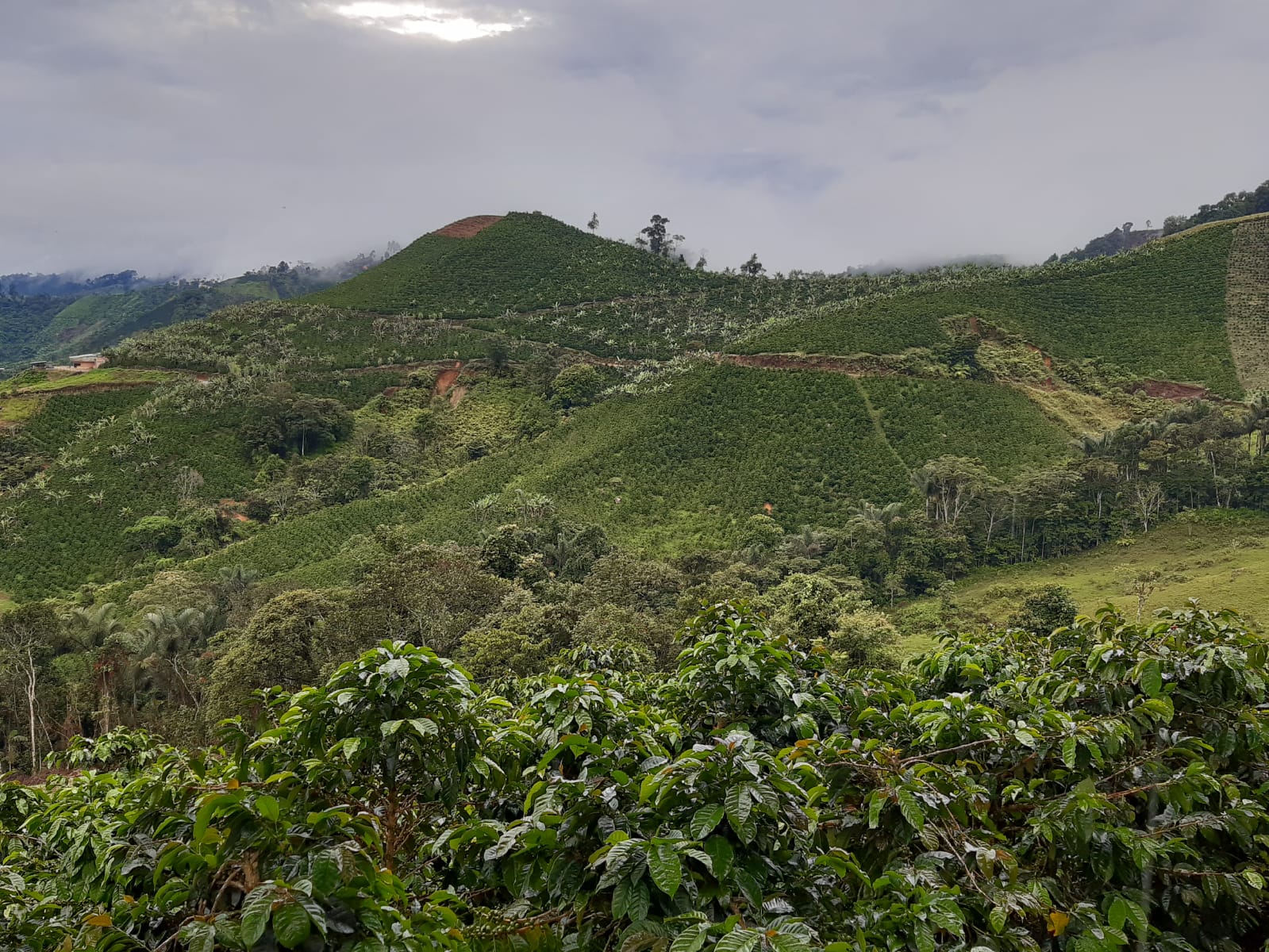 imagen-20240904-211611-9c3be4e9 (1).jpeg