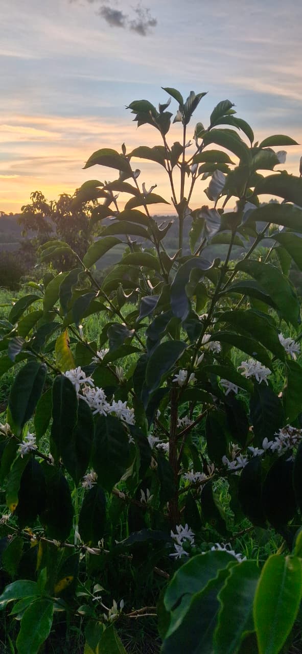 Imagen de WhatsApp 2025-08-29 a las 11.48.38_97e1009a.jpg