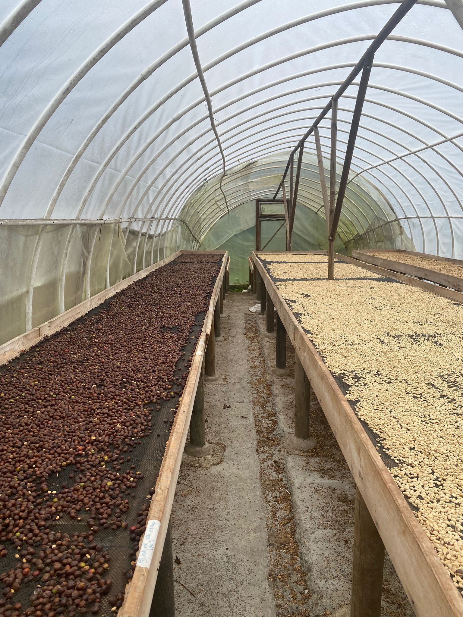 Finca Jazmin_MAY 25 (1).jpg
