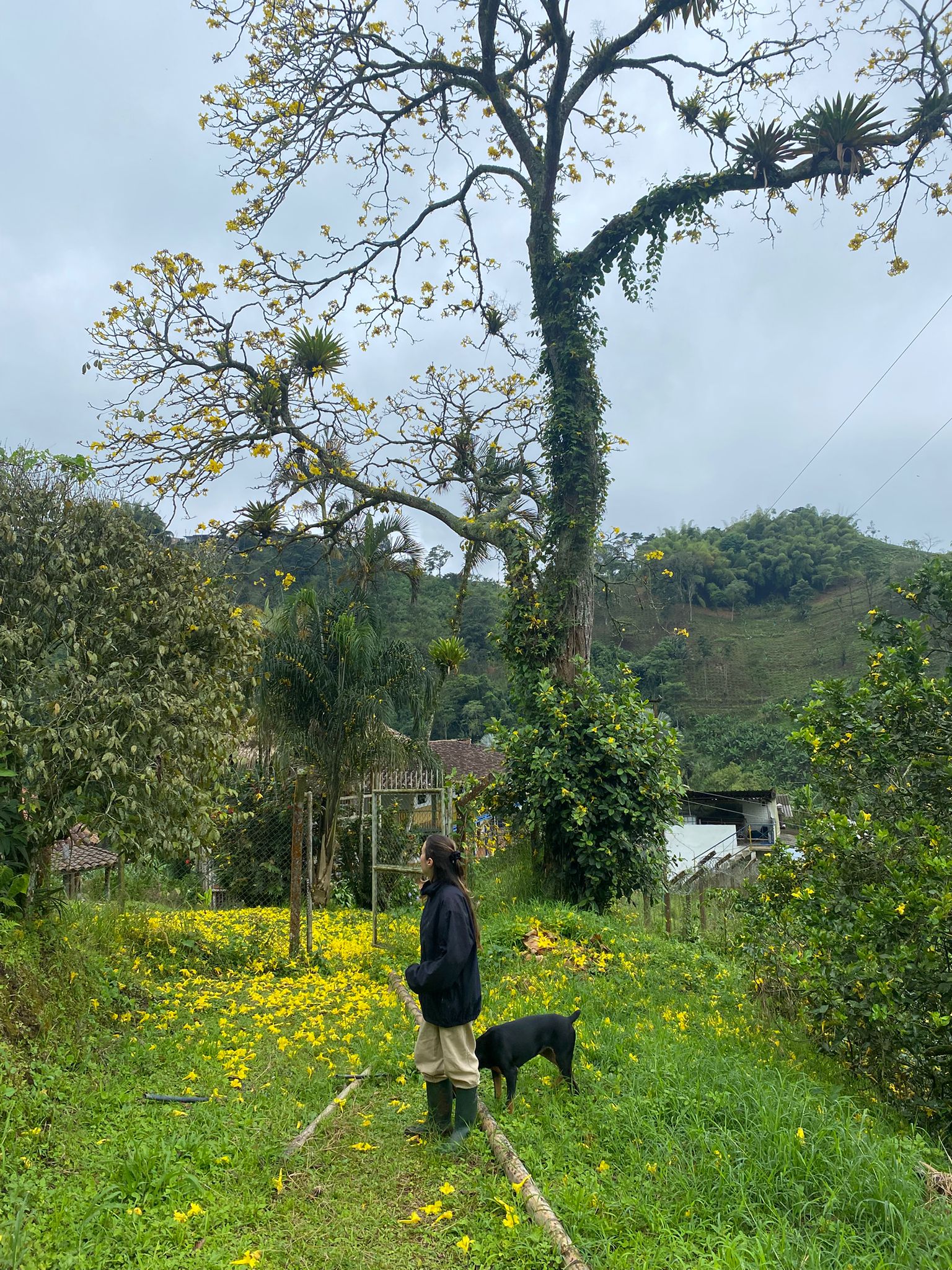 Finca Jazmin_MAY 25 (2).jpg