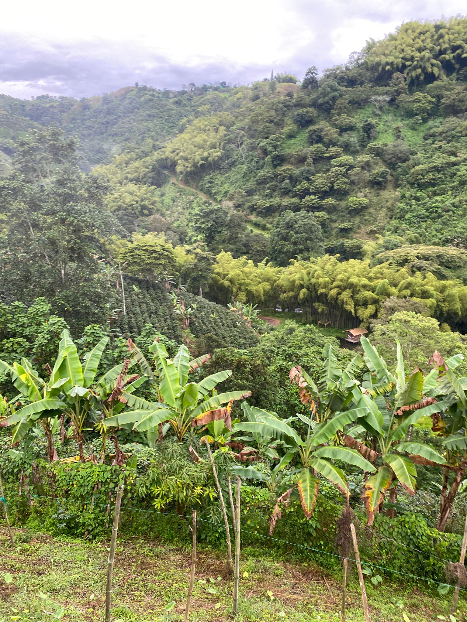 Finca Jazmin_MAY 25 (4).jpg