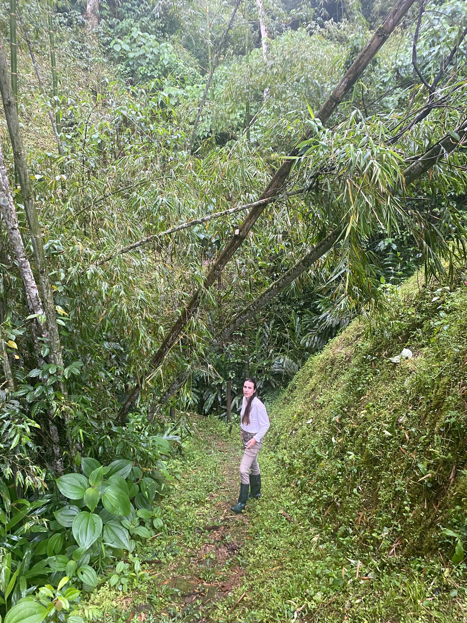 Finca Jazmin_MAY 25 (5).jpg