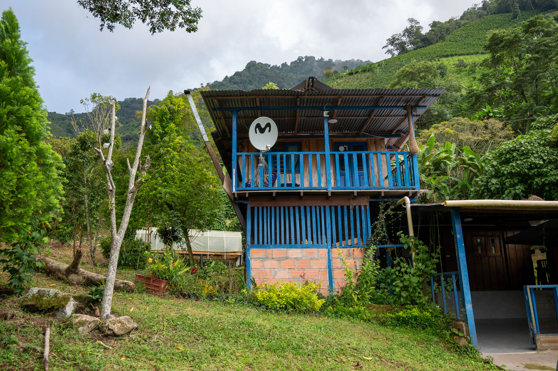 La Manoa
