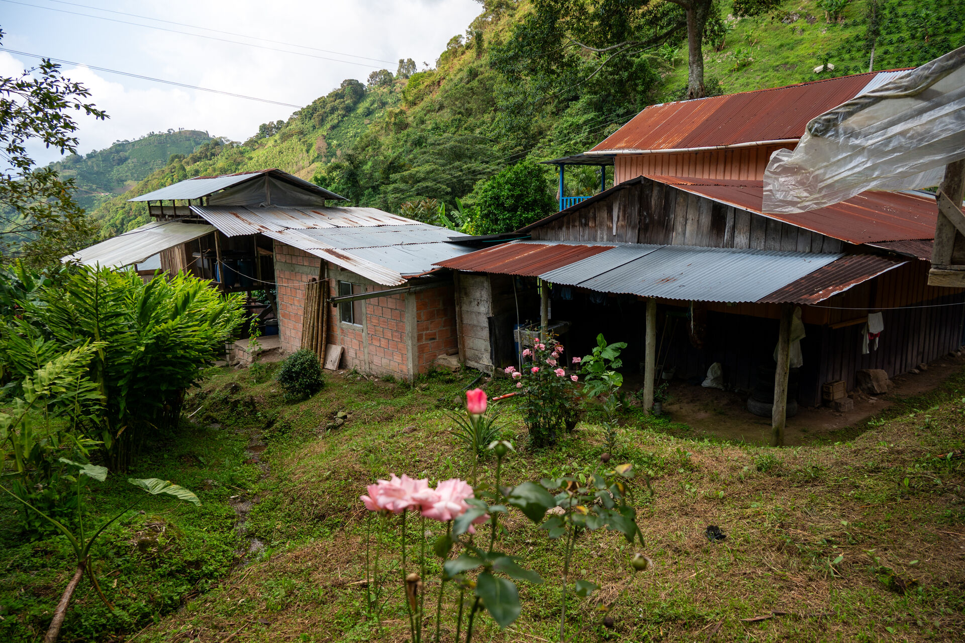 La Manoa